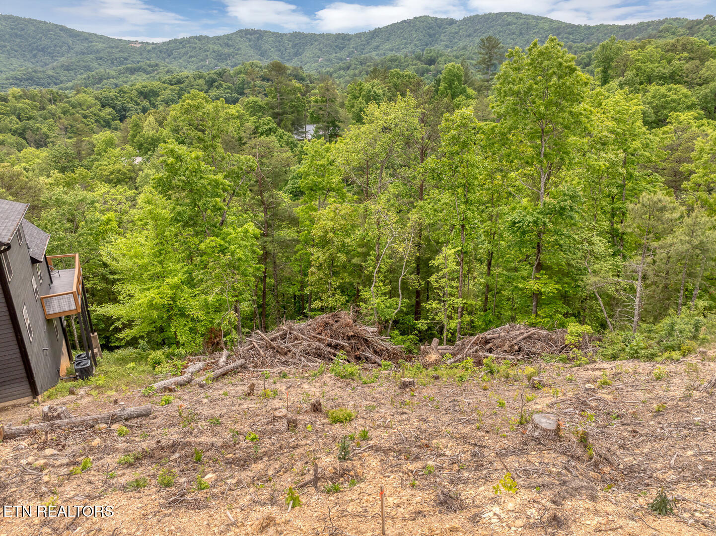 210 Cutter Gap Road Townsend TN 37882