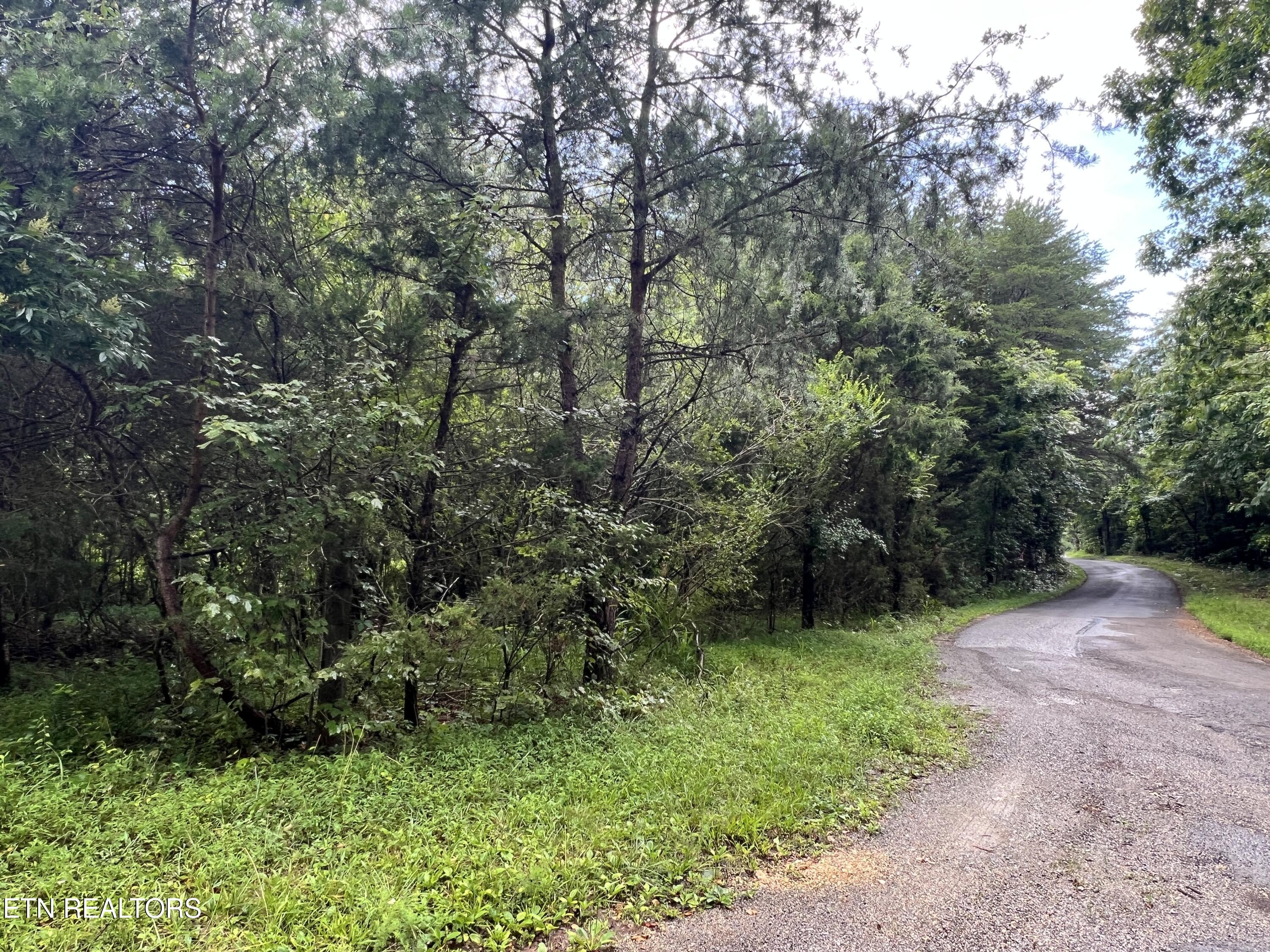 Lot 4 Prigmore Ridge Road Decatur TN 37322