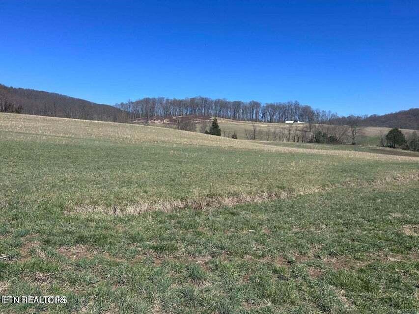 1094 Parkey Hollow Road Sneedville TN 37869