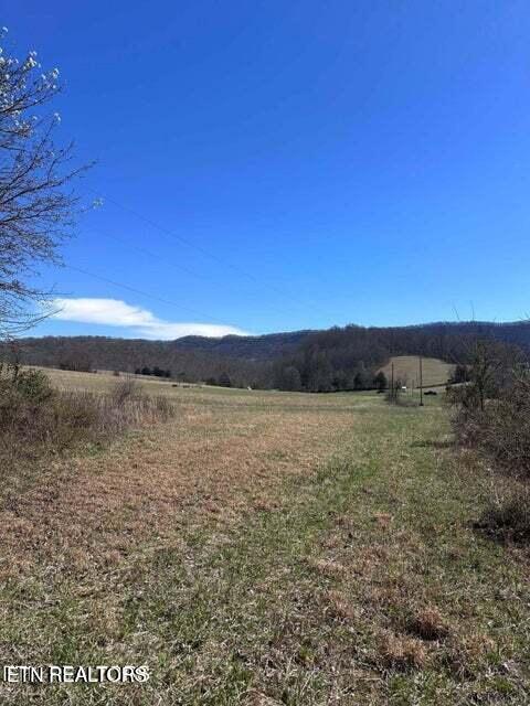 1094 Parkey Hollow Road Sneedville TN 37869