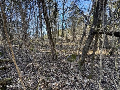 TN-131 Treadway TN 37881
