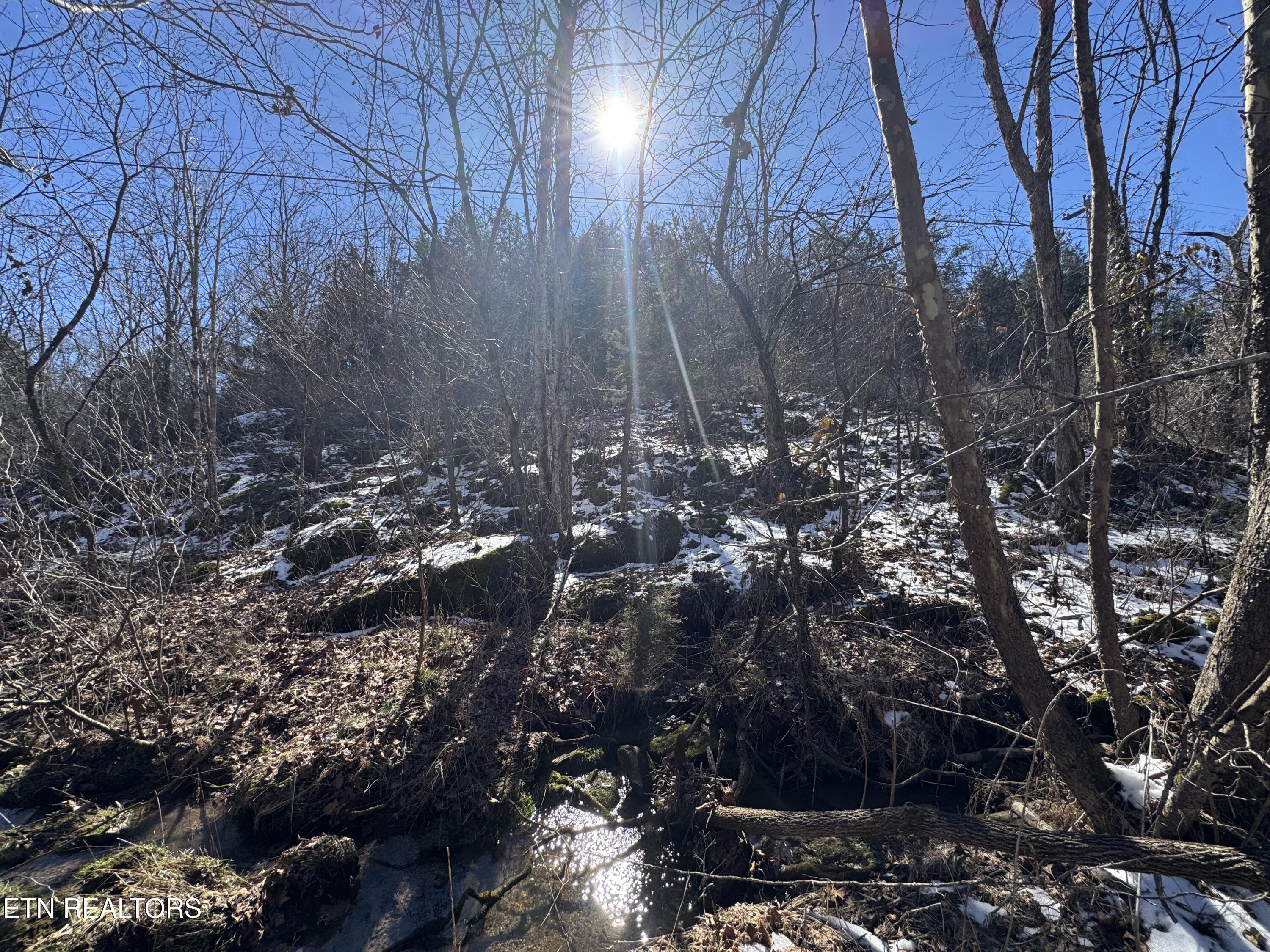 TN-131 Treadway TN 37881