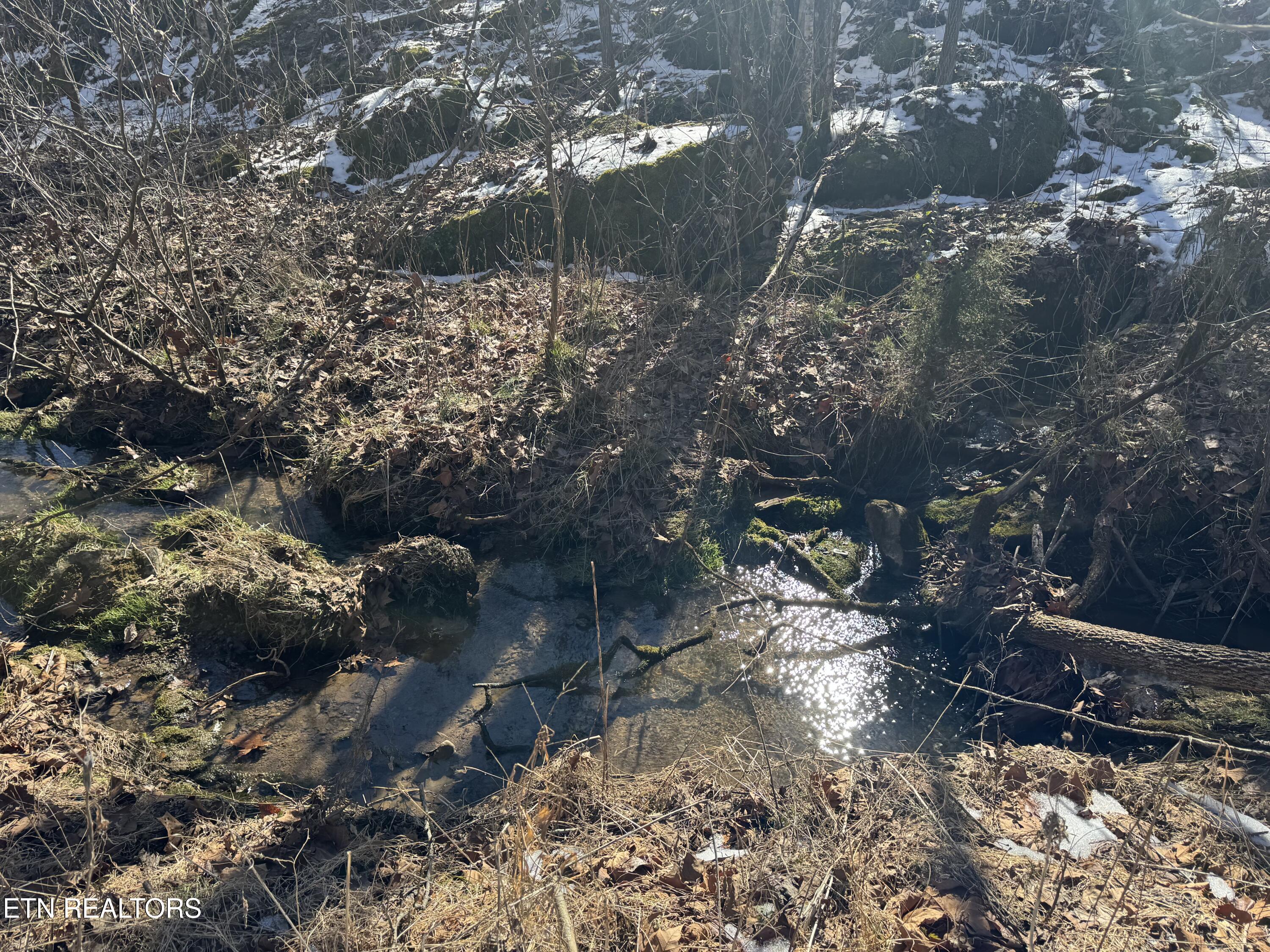 TN-131 Treadway TN 37881