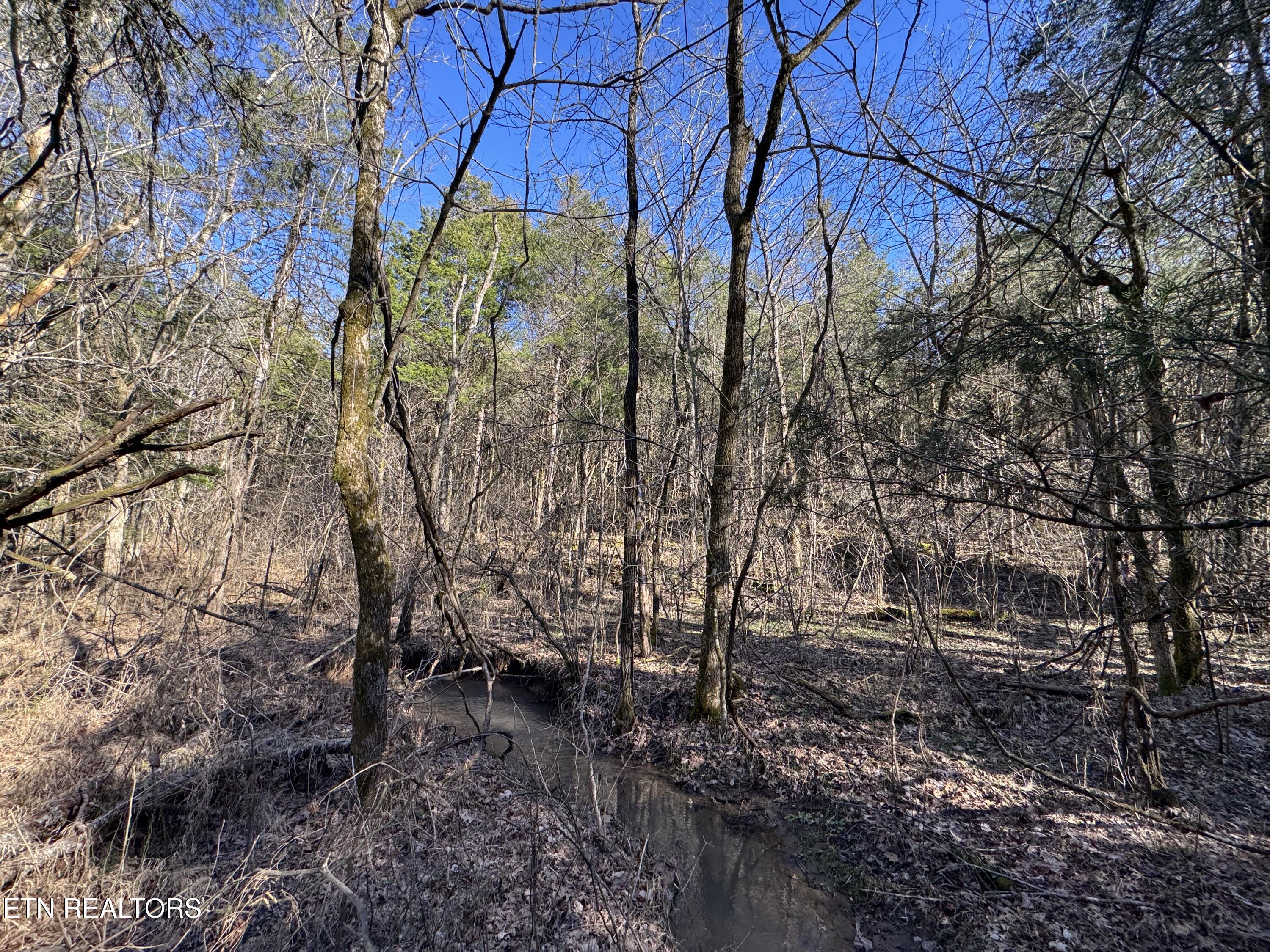 TN-131 Treadway TN 37881