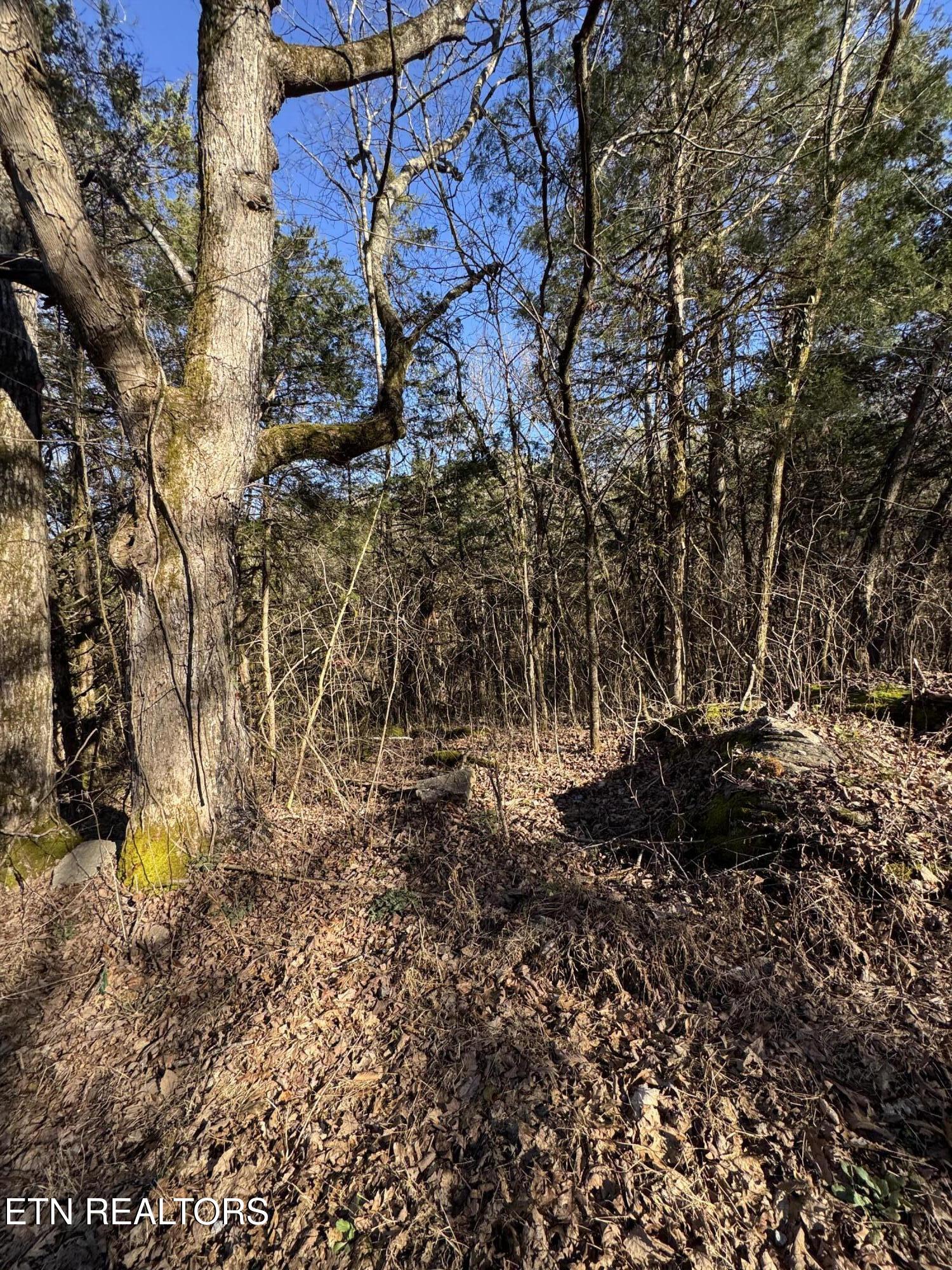 TN-131 Treadway TN 37881