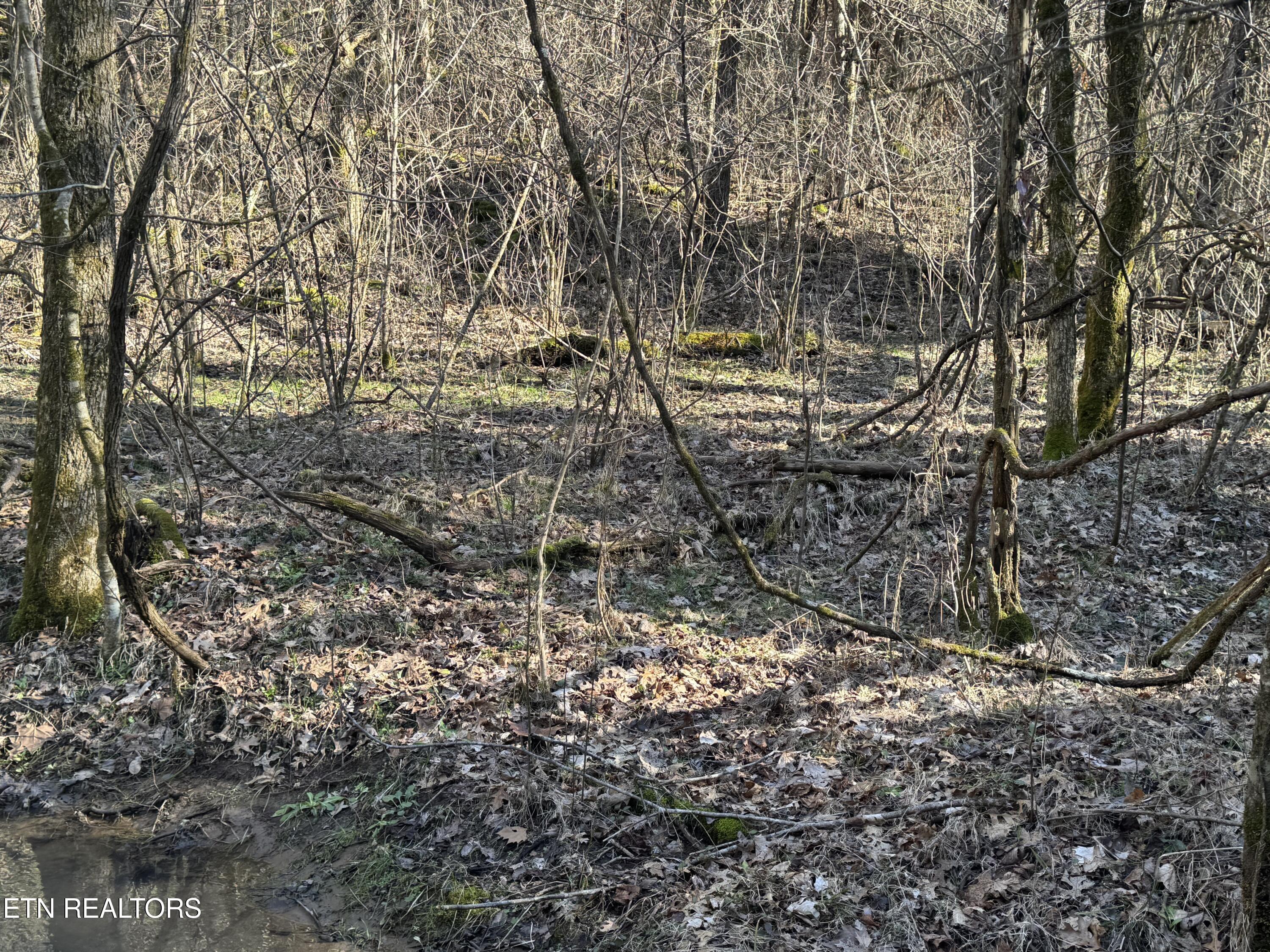 TN-131 Treadway TN 37881