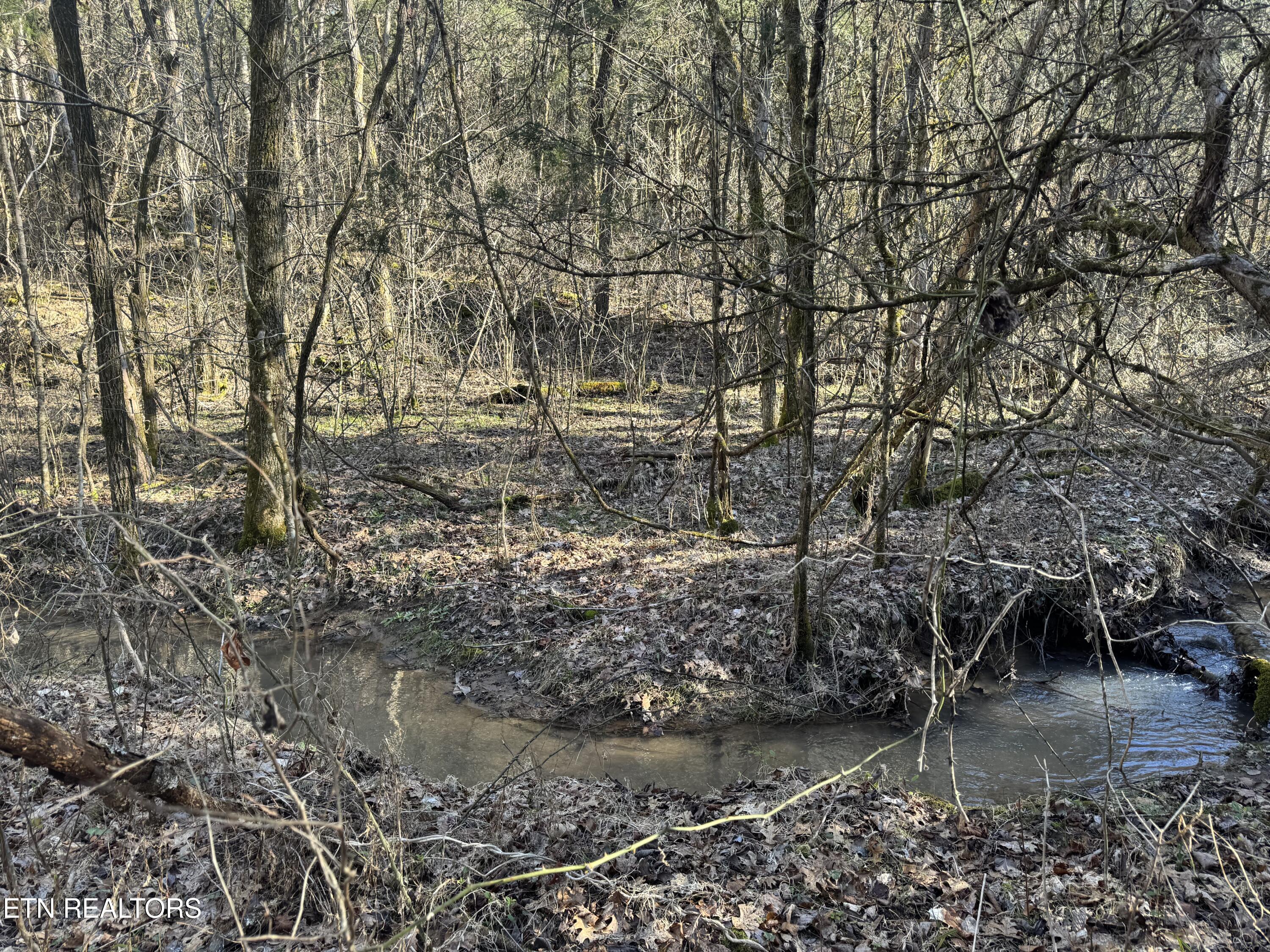 TN-131 Treadway TN 37881
