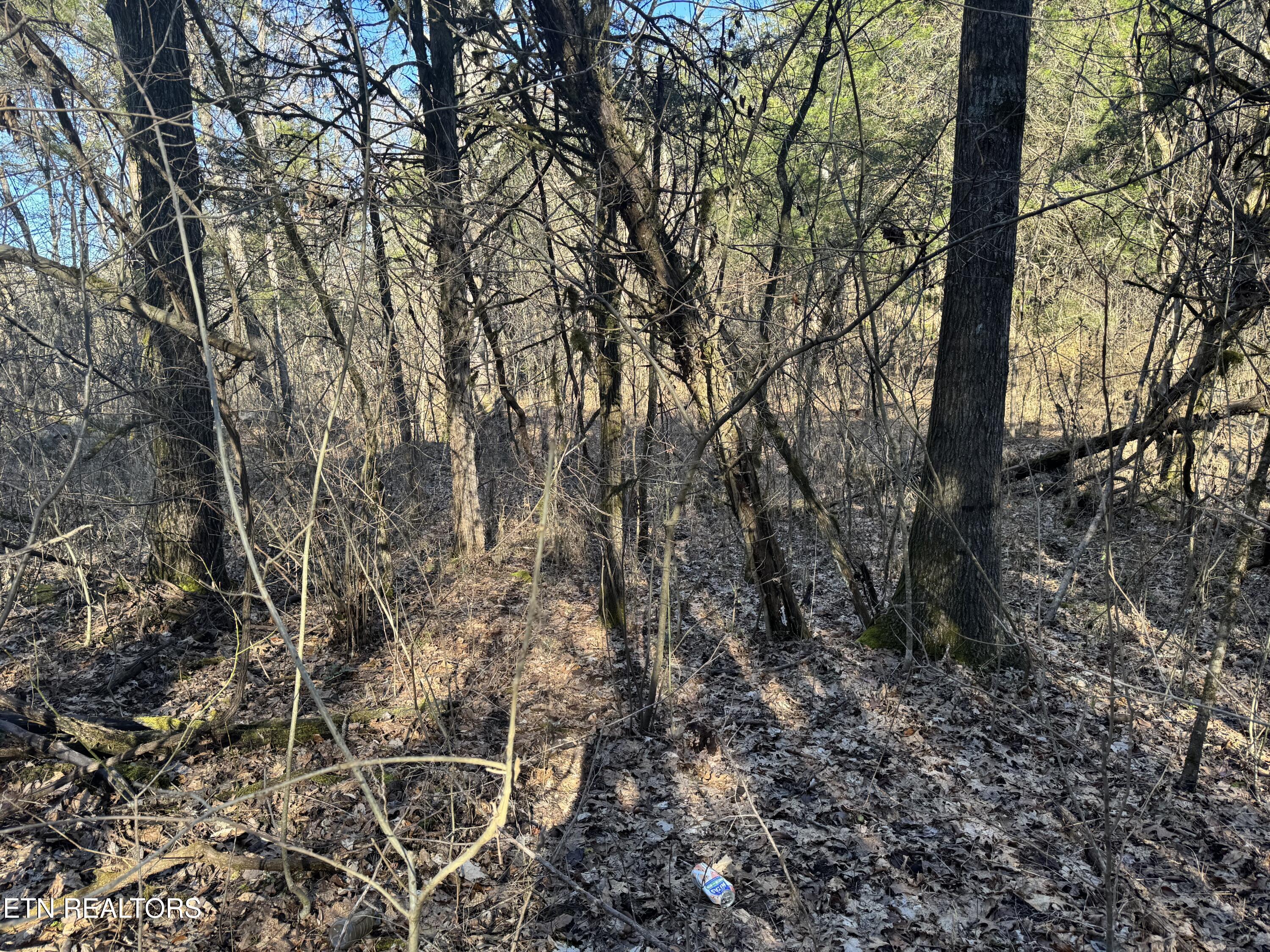 TN-131 Treadway TN 37881