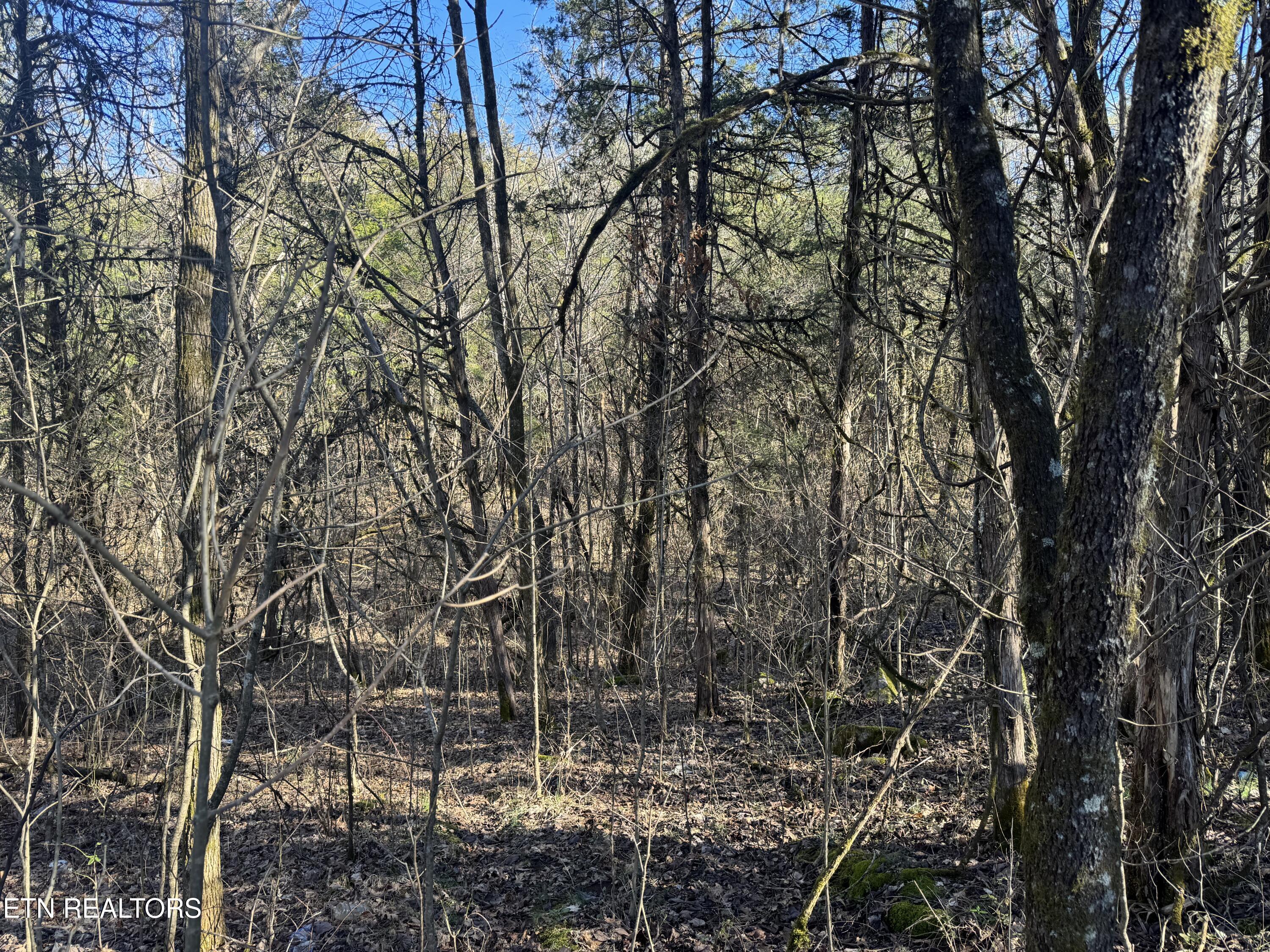 TN-131 Treadway TN 37881