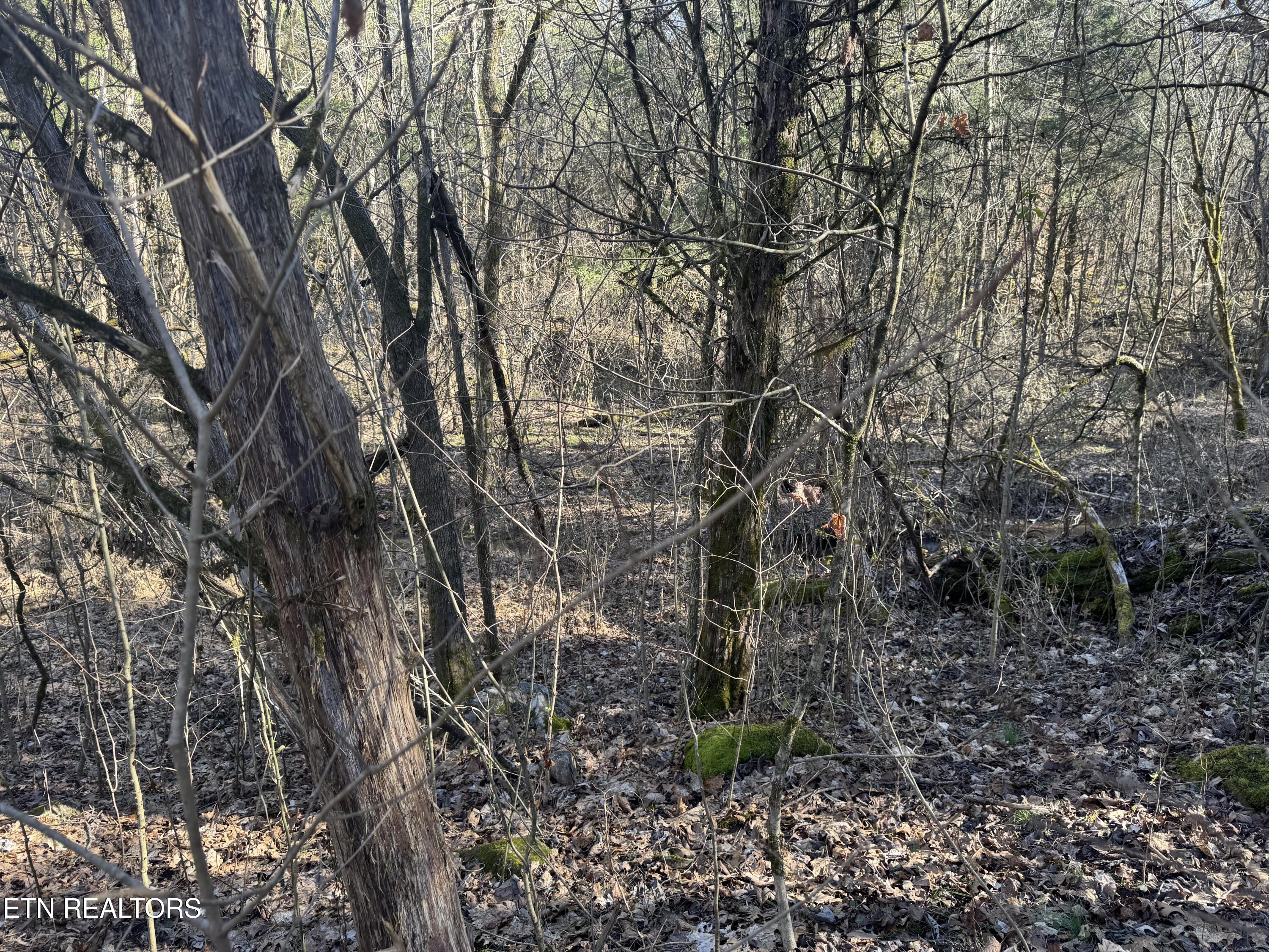 TN-131 Treadway TN 37881