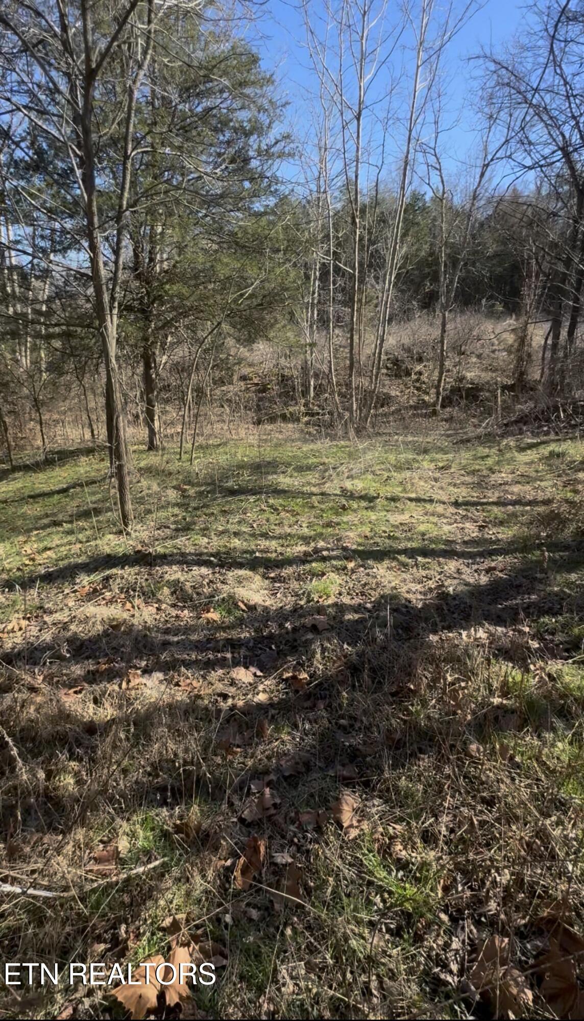 TN-131 Treadway TN 37881