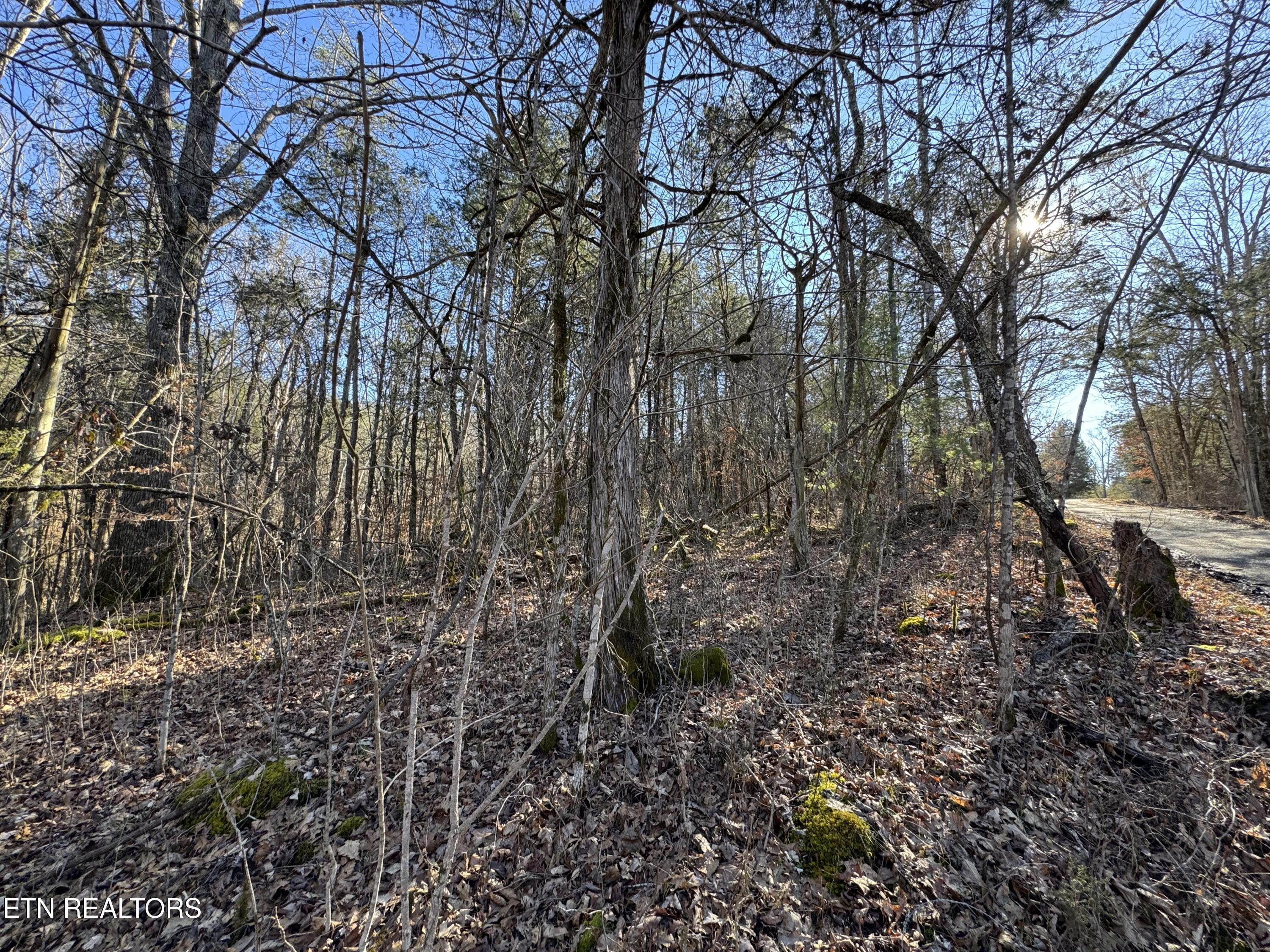 TN-131 Treadway TN 37881