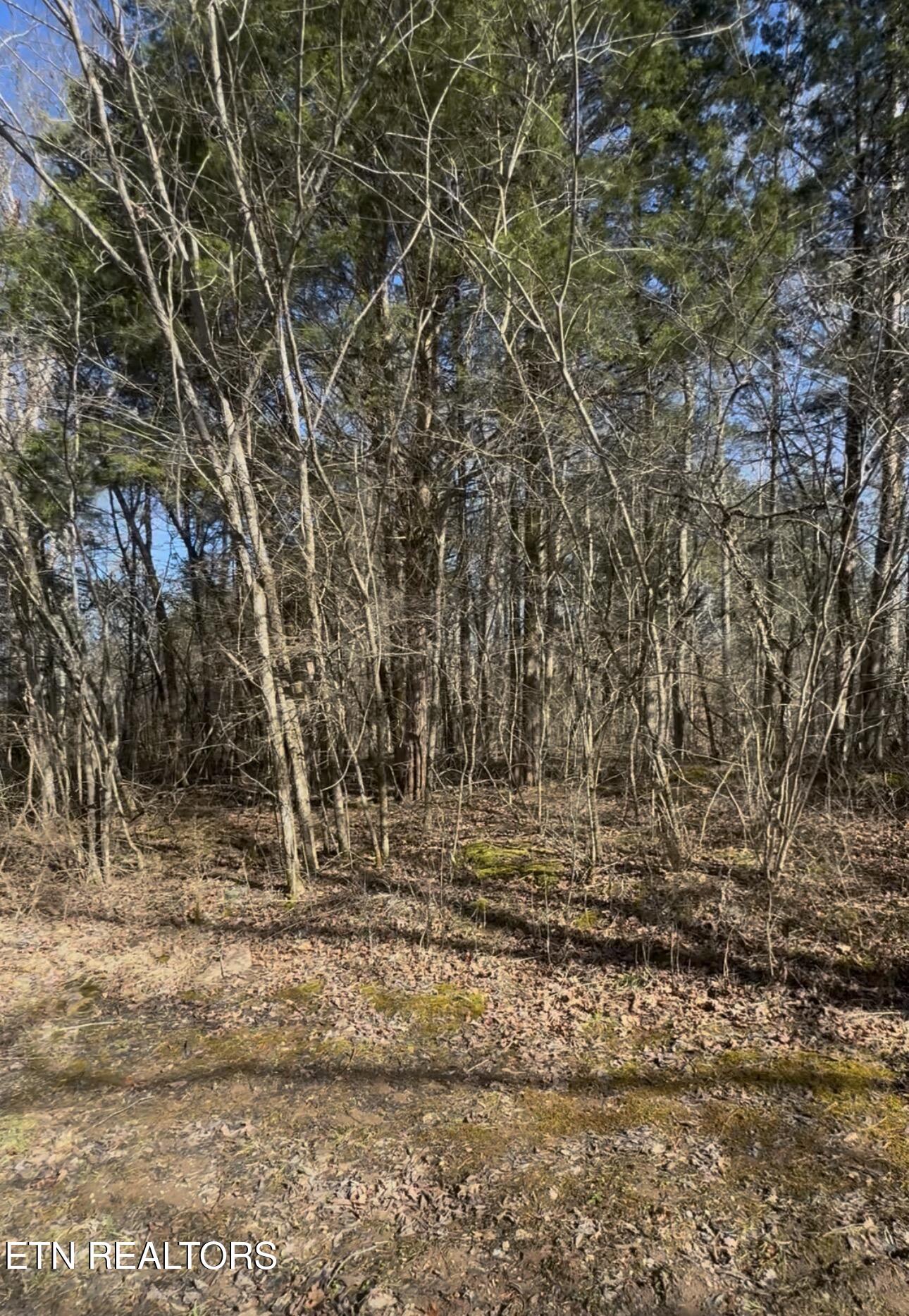 TN-131 Treadway TN 37881