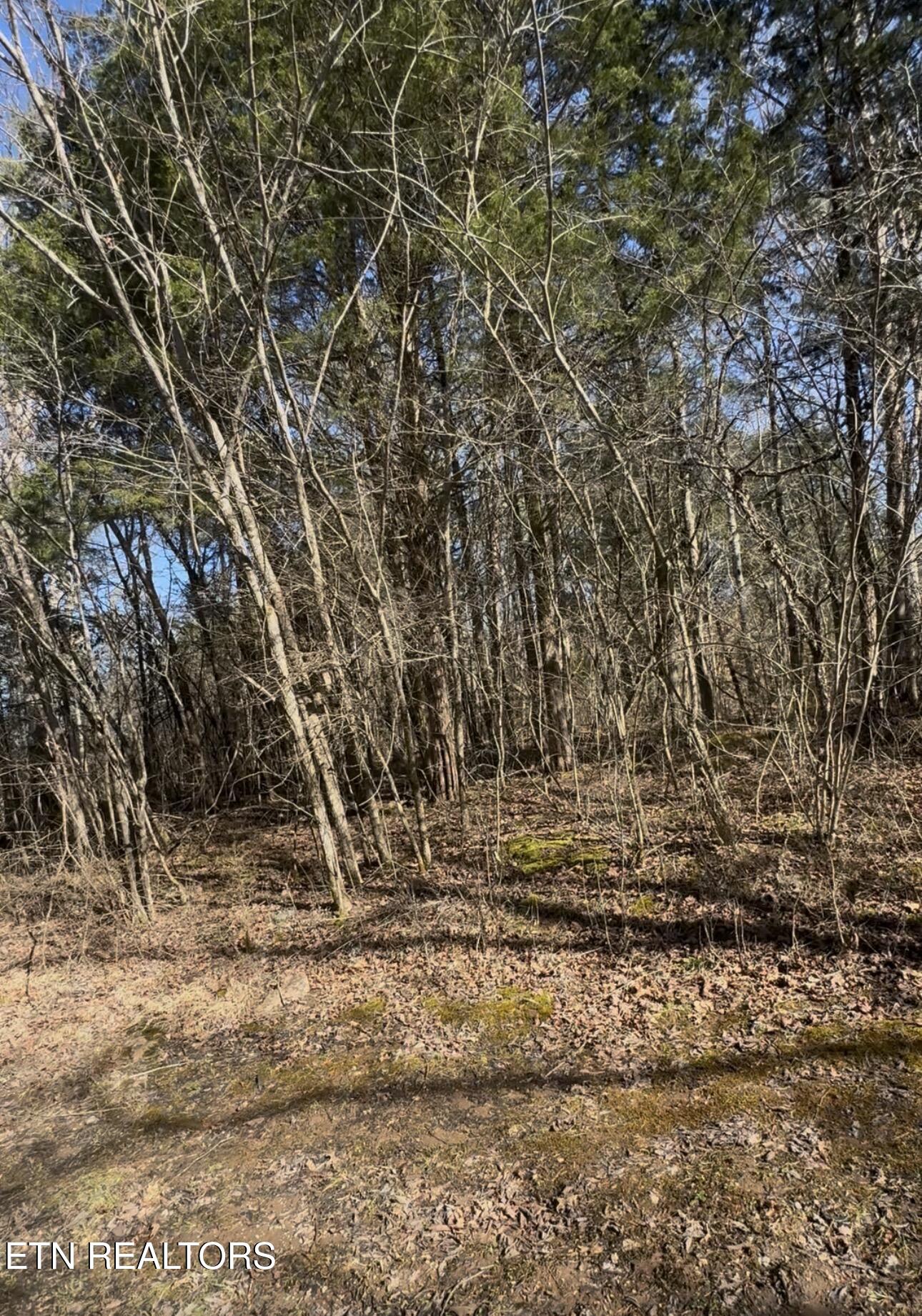 TN-131 Treadway TN 37881