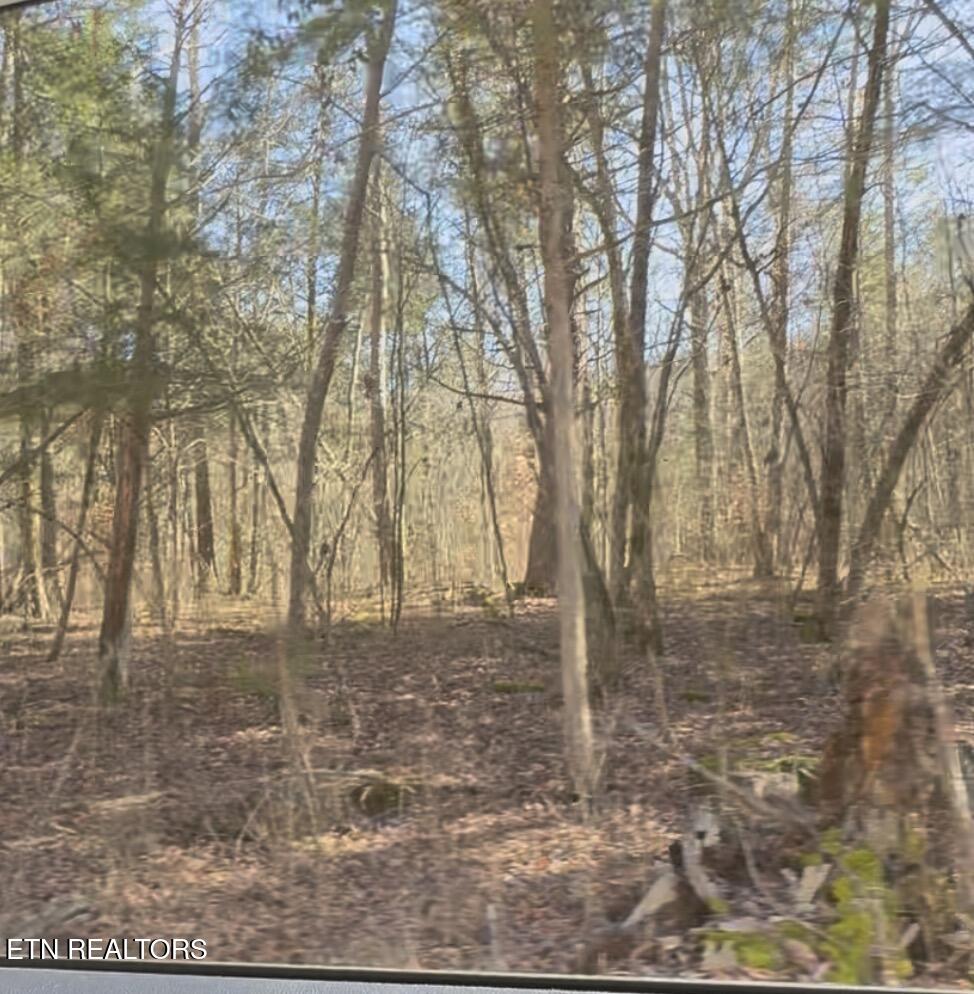 TN-131 Treadway TN 37881