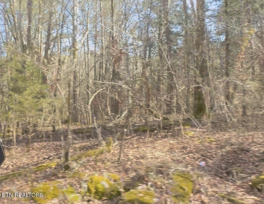 TN-131 Treadway TN 37881