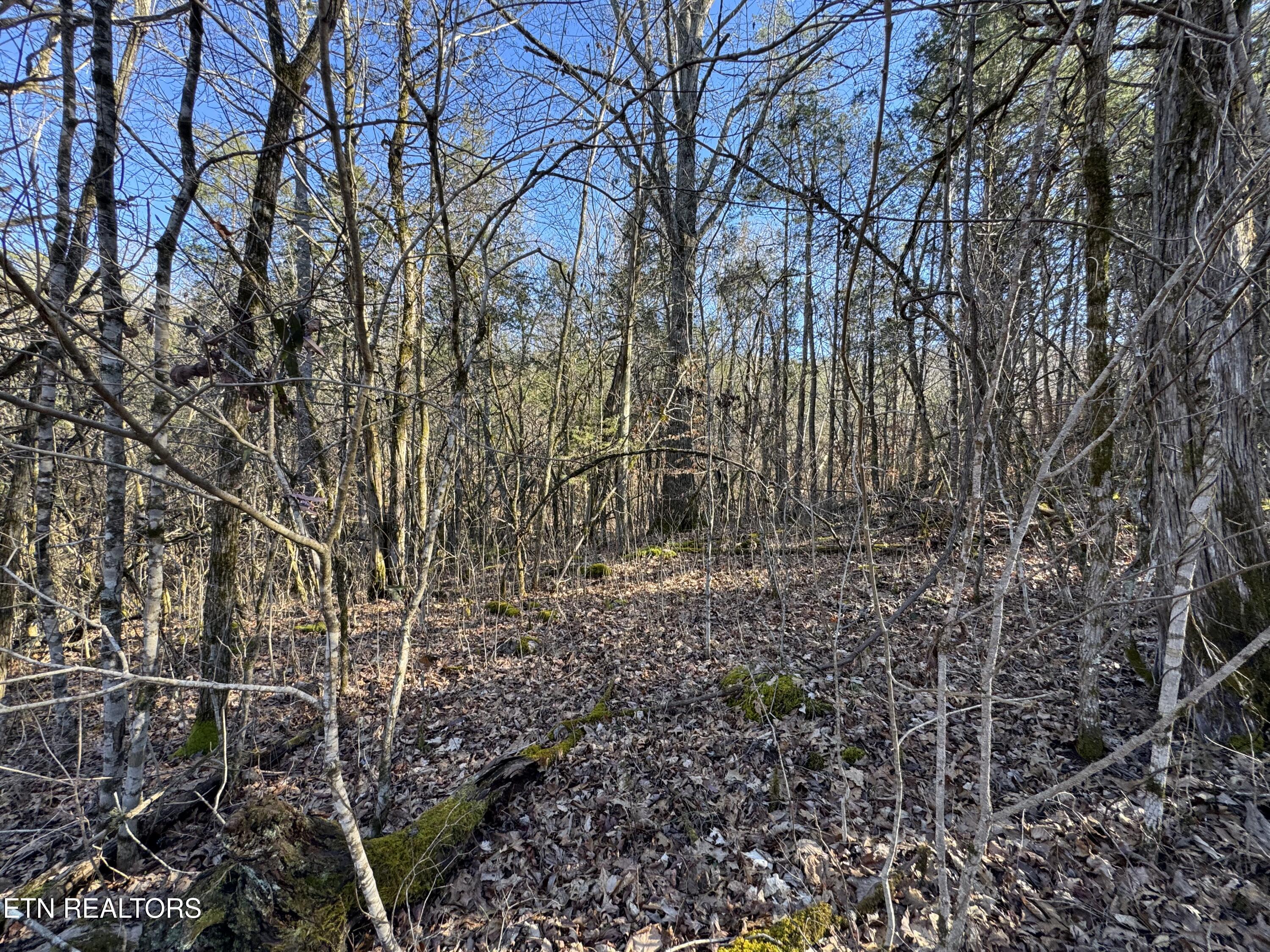TN-131 Treadway TN 37881
