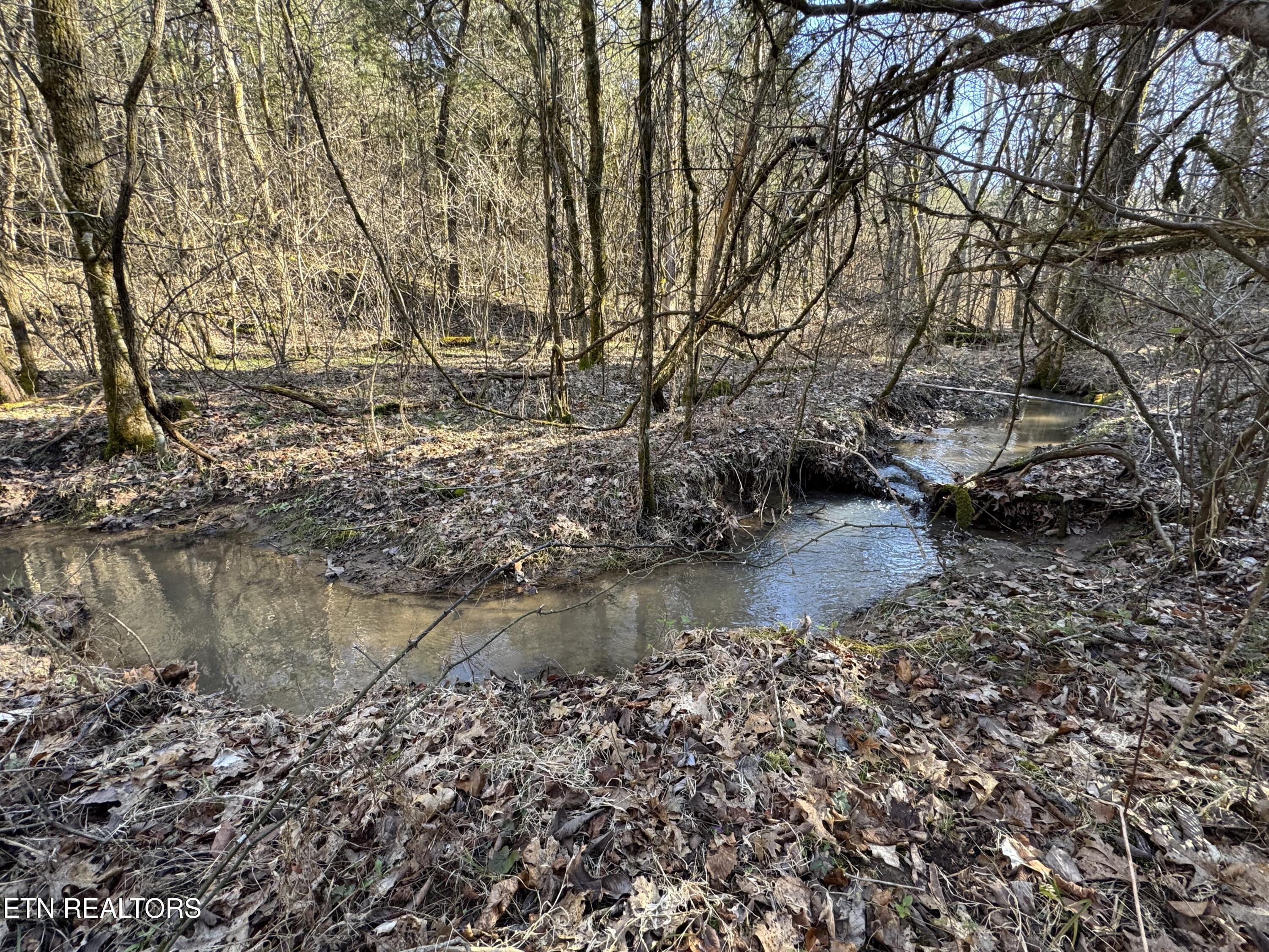 TN-131 Treadway TN 37881