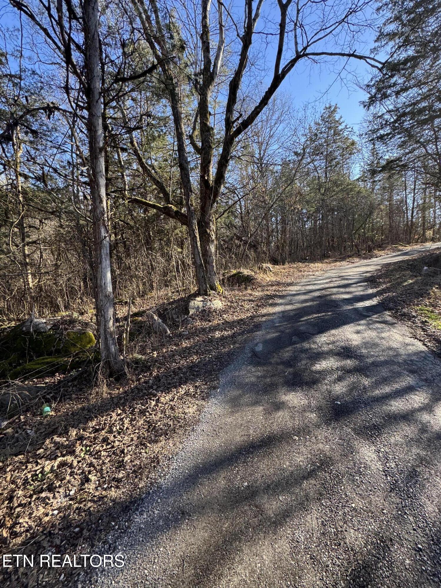 TN-131 Treadway TN 37881