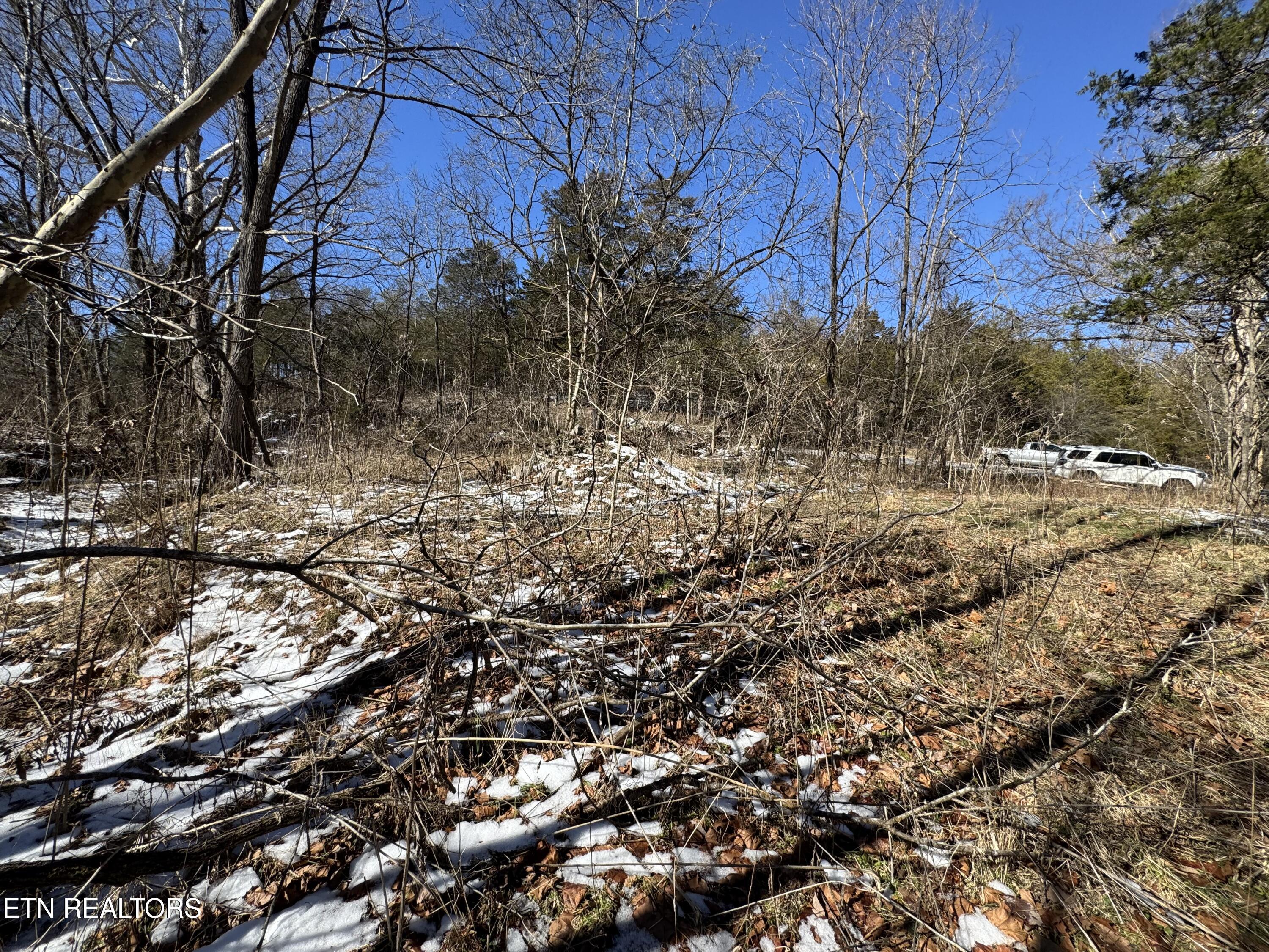 TN-131 Treadway TN 37881