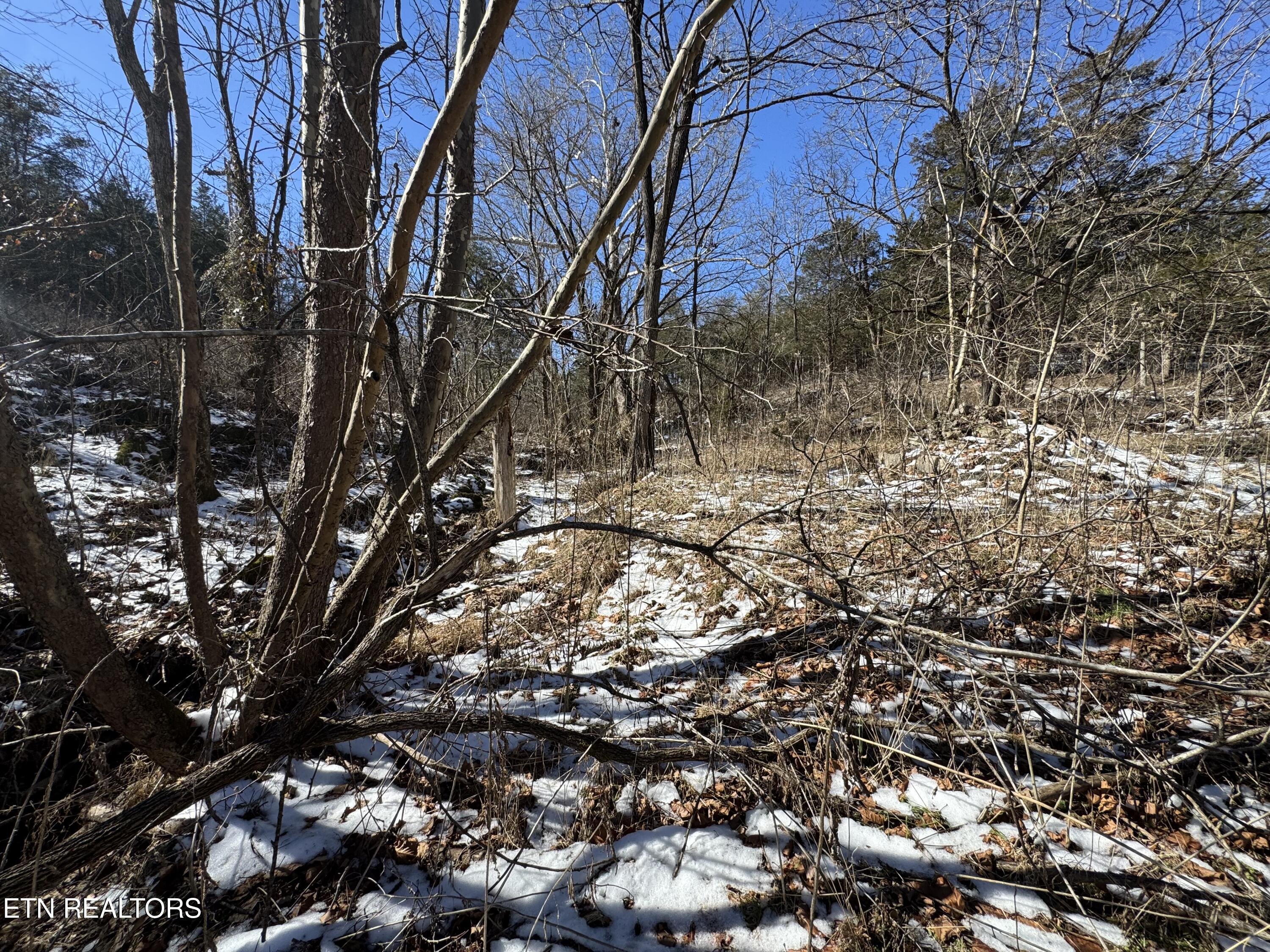 TN-131 Treadway TN 37881