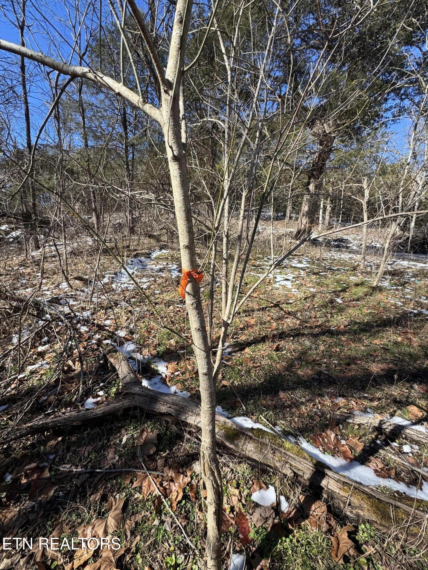 TN-131 Treadway TN 37881
