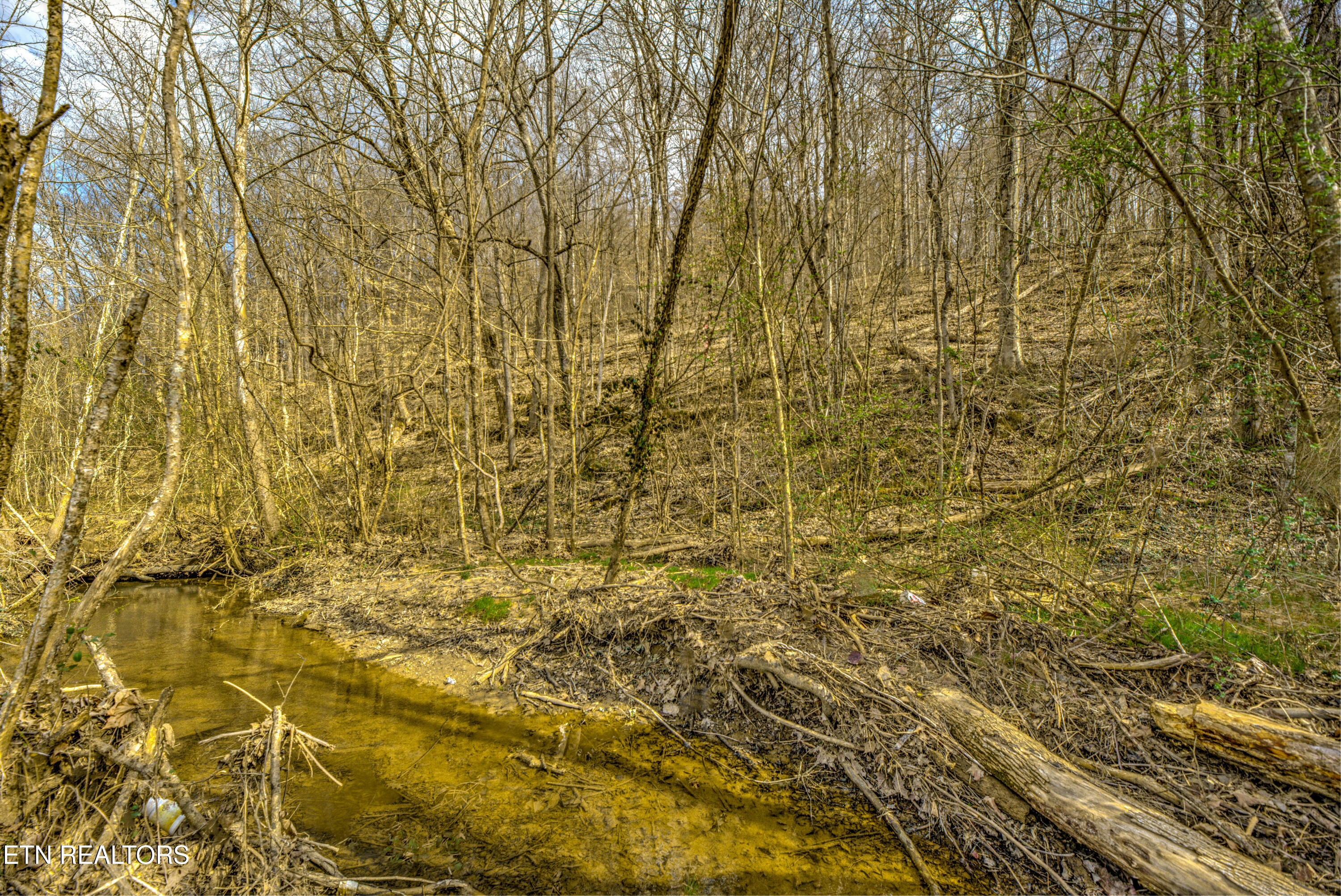 3275 W Wolf Valley Road Clinton TN 37716