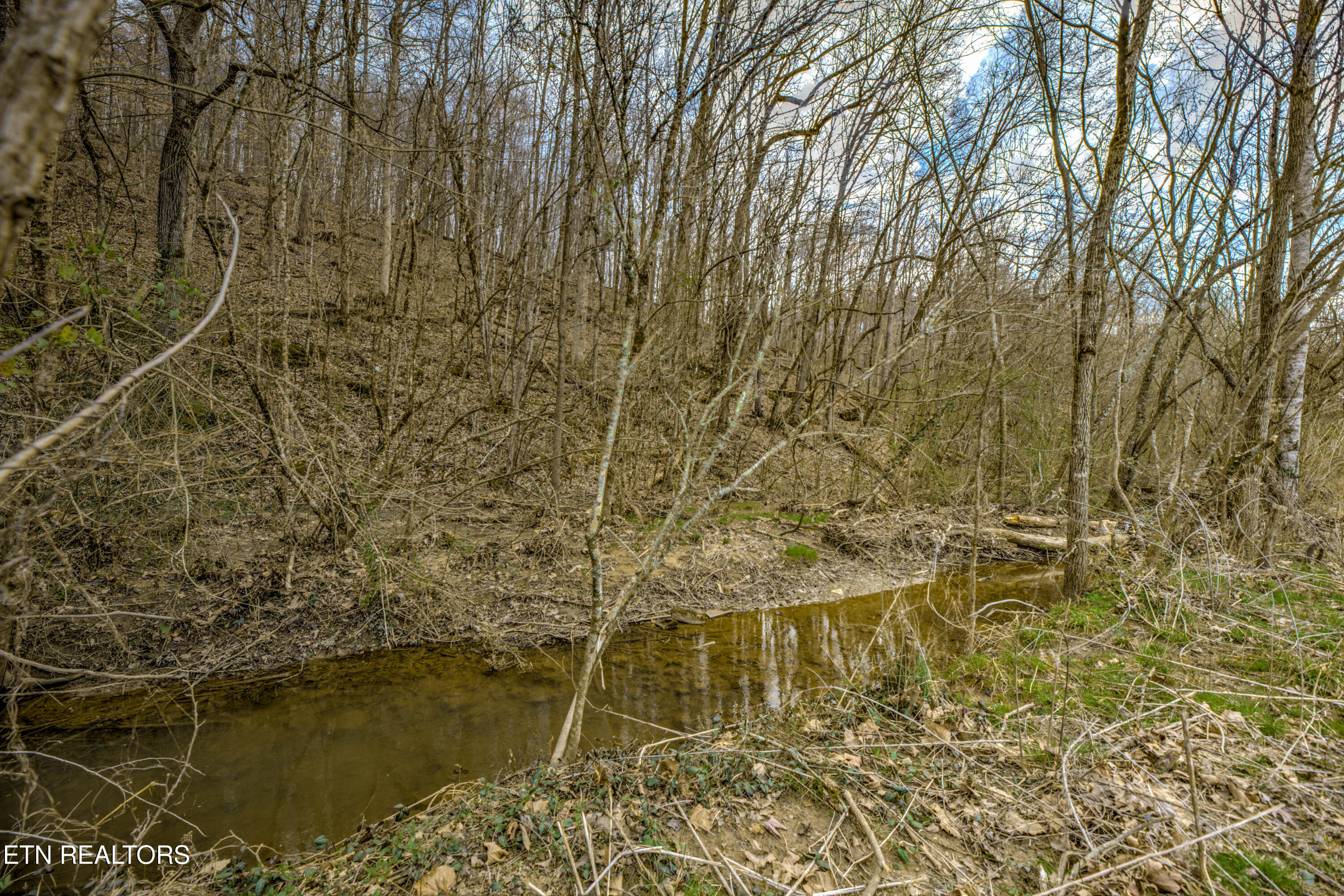 3275 W Wolf Valley Road Clinton TN 37716