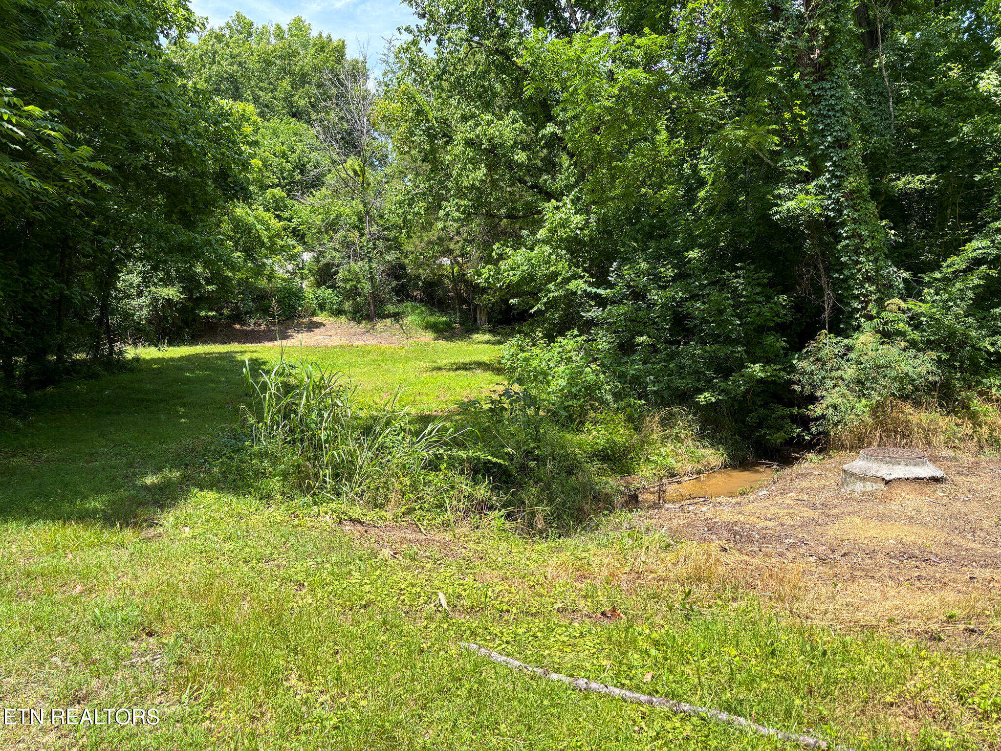 119 Carey Street Vonore TN 37885