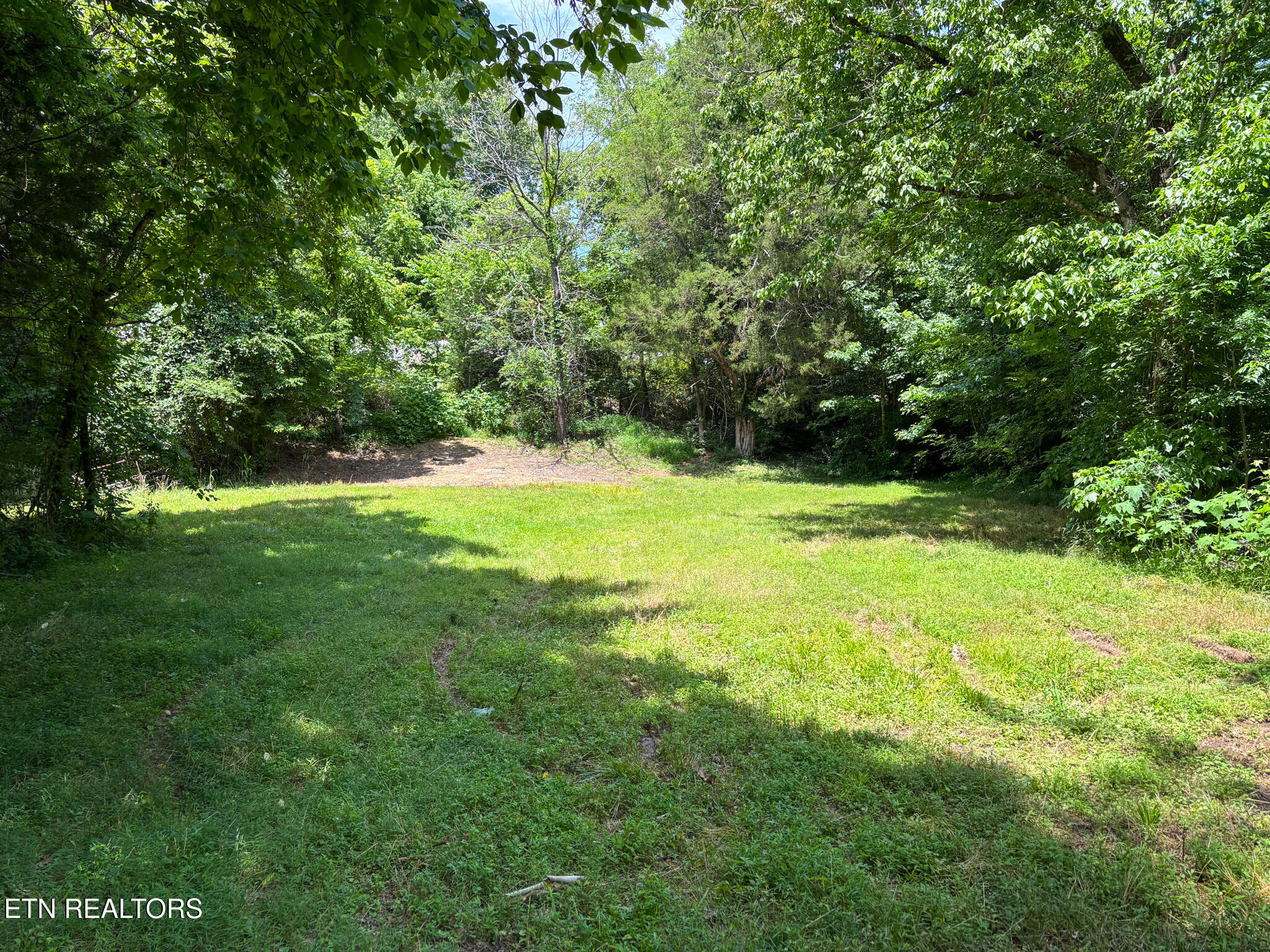 119 Carey Street Vonore TN 37885