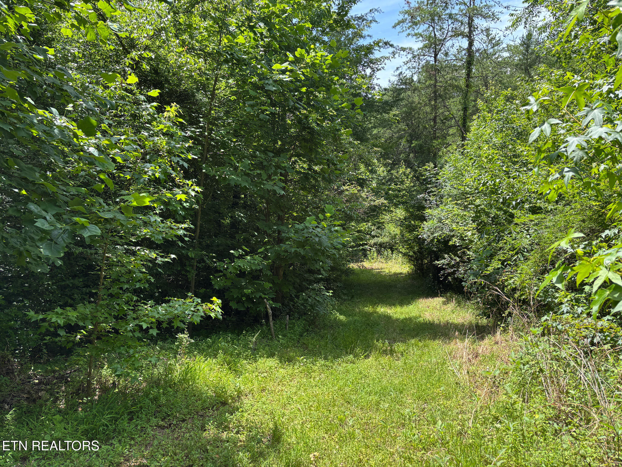 119 Carey Street Vonore TN 37885