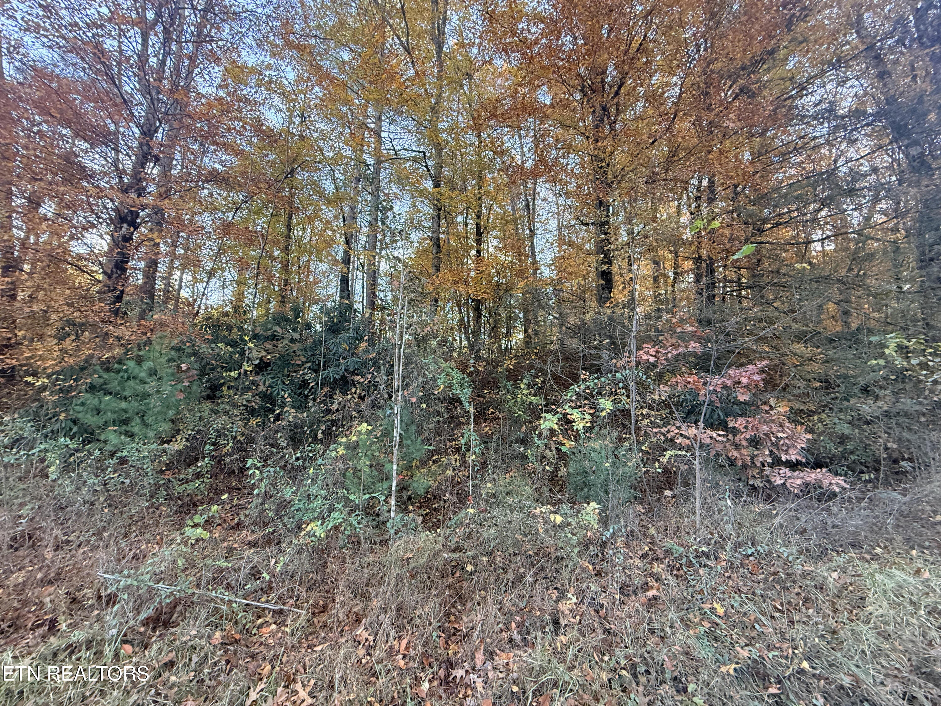 Lot 42/43 Deerfoot Road Newport TN 37821