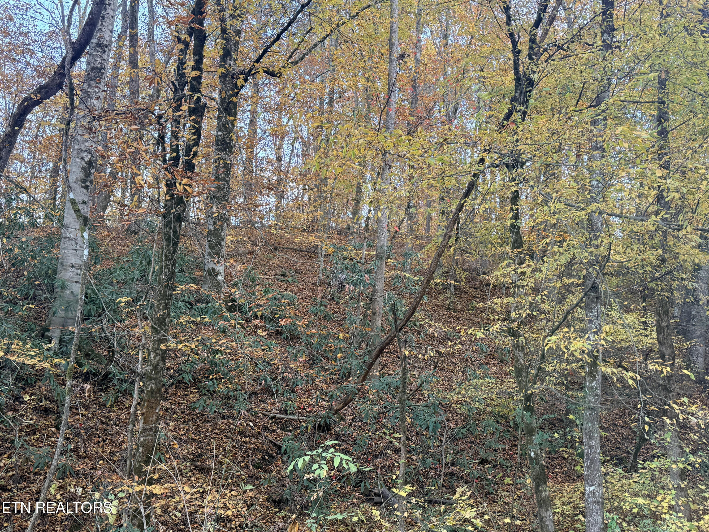 Lot 42/43 Deerfoot Road Newport TN 37821