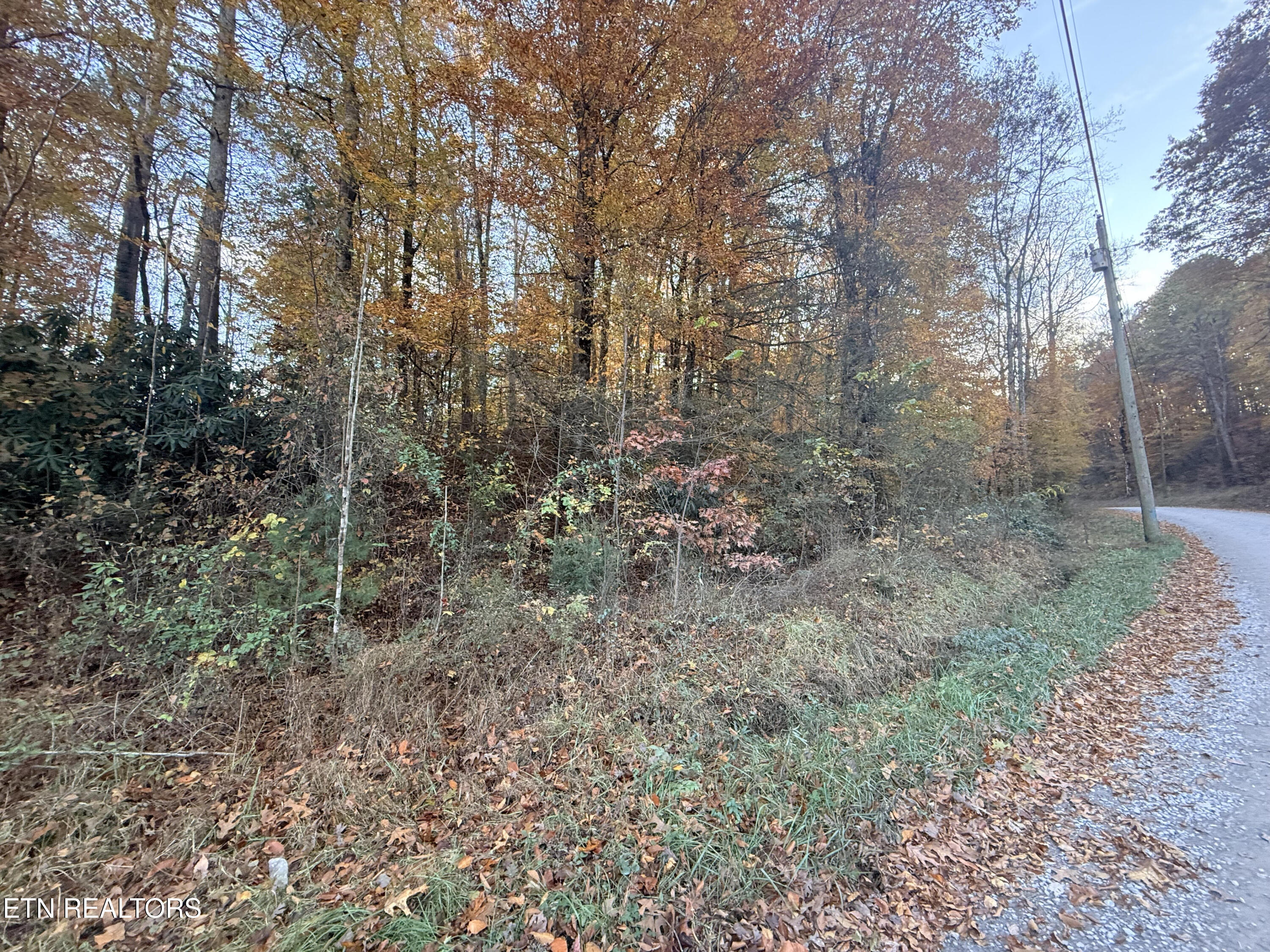 Lot 42/43 Deerfoot Road Newport TN 37821