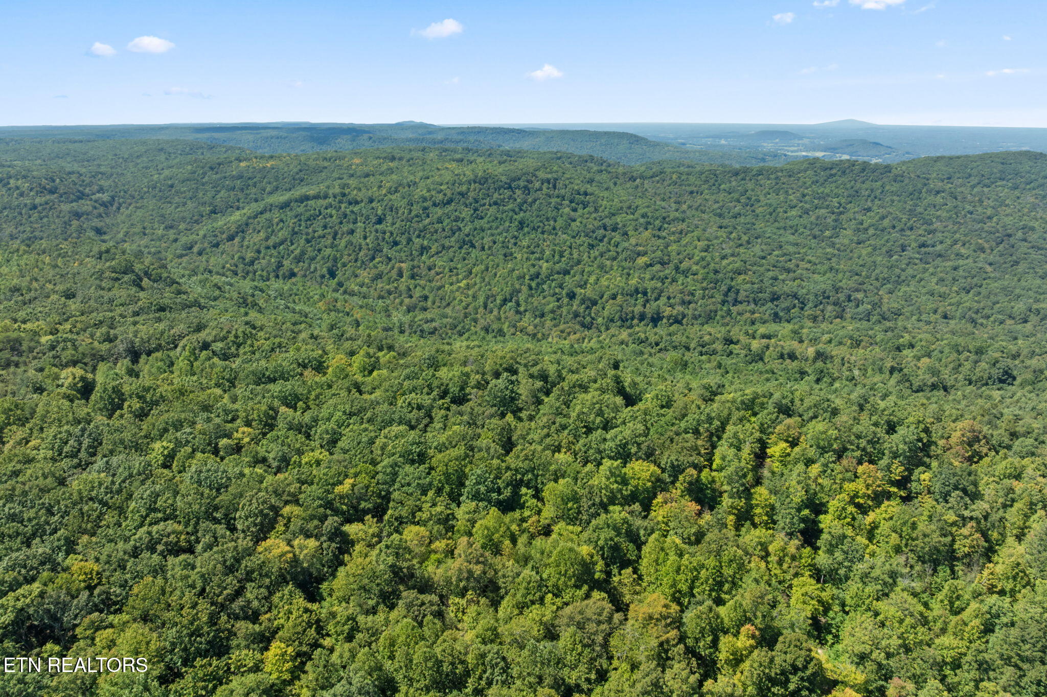 158 Ac Lick Hollow Branch Spencer TN 38585