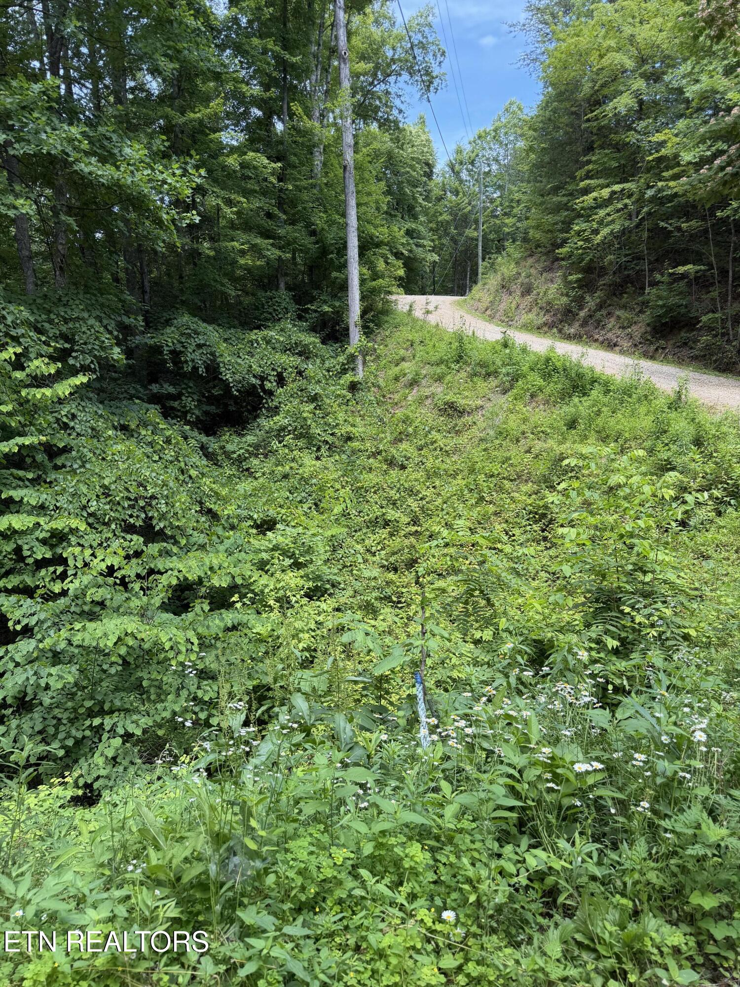 Butternut Lane Sevierville TN 37876