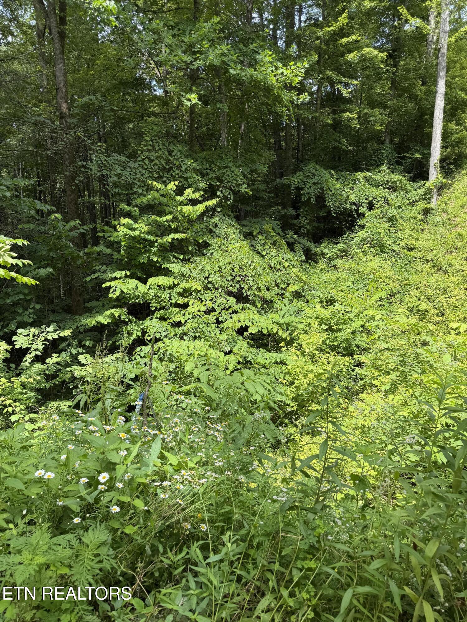 Butternut Lane Sevierville TN 37876