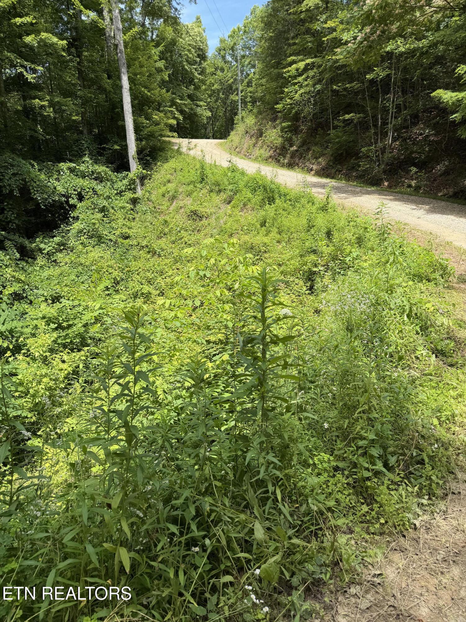 Butternut Lane Sevierville TN 37876
