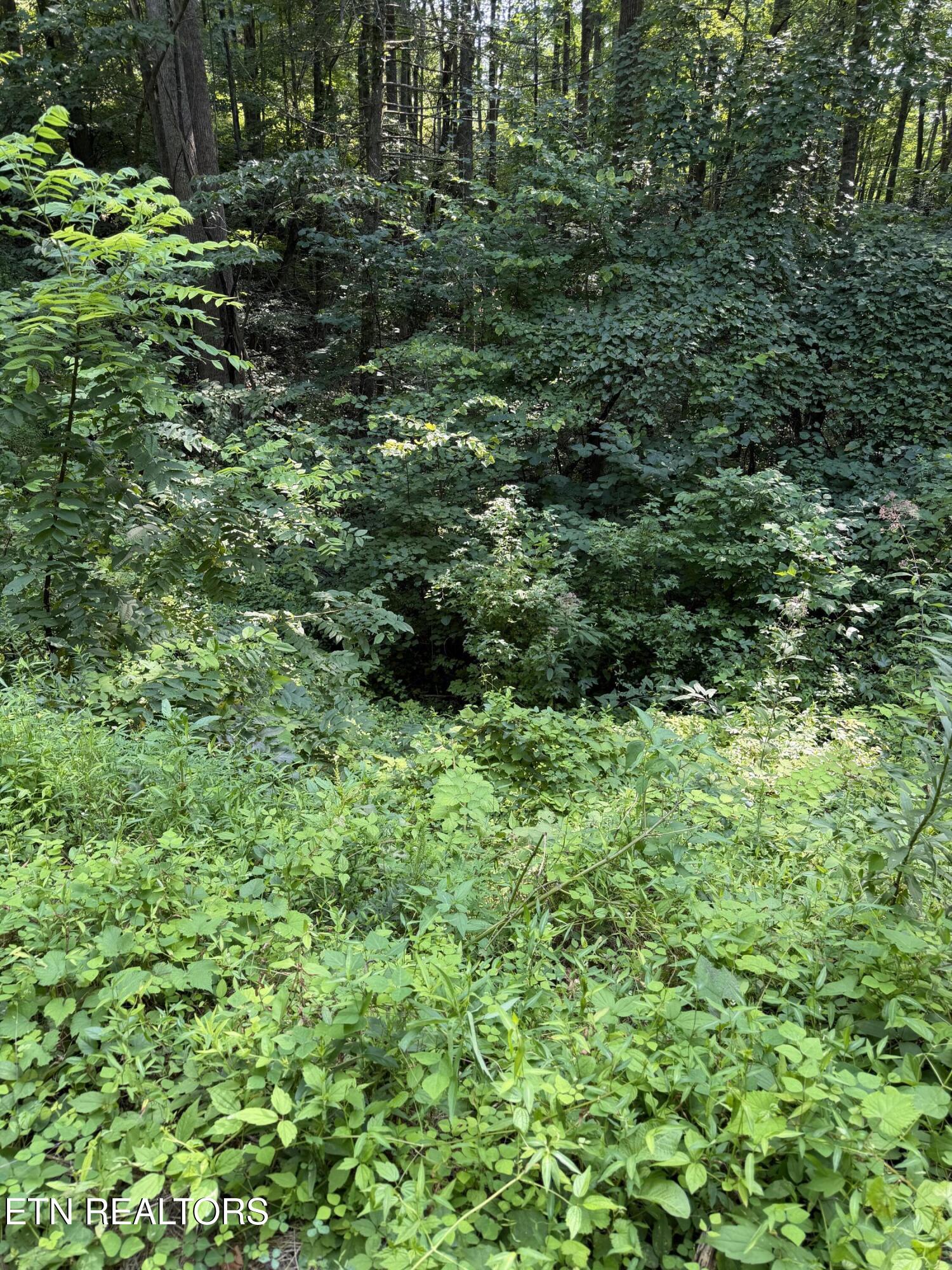 Lot 56 Butternut Lane Sevierville TN 37876