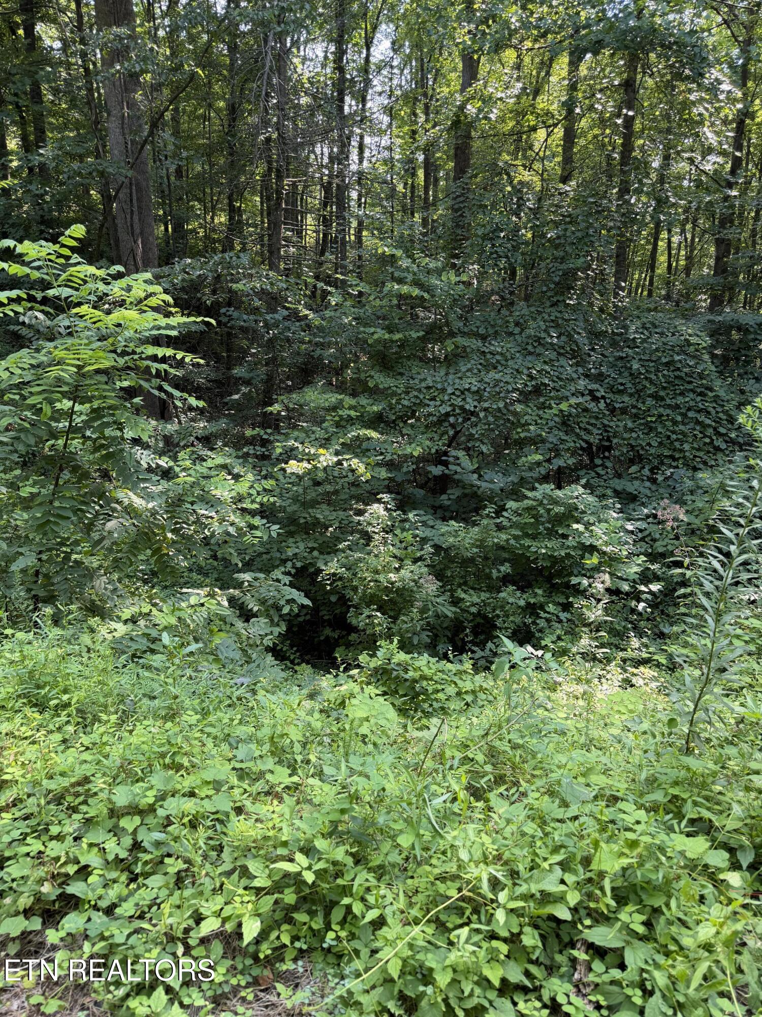 Lot 56 Butternut Lane Sevierville TN 37876