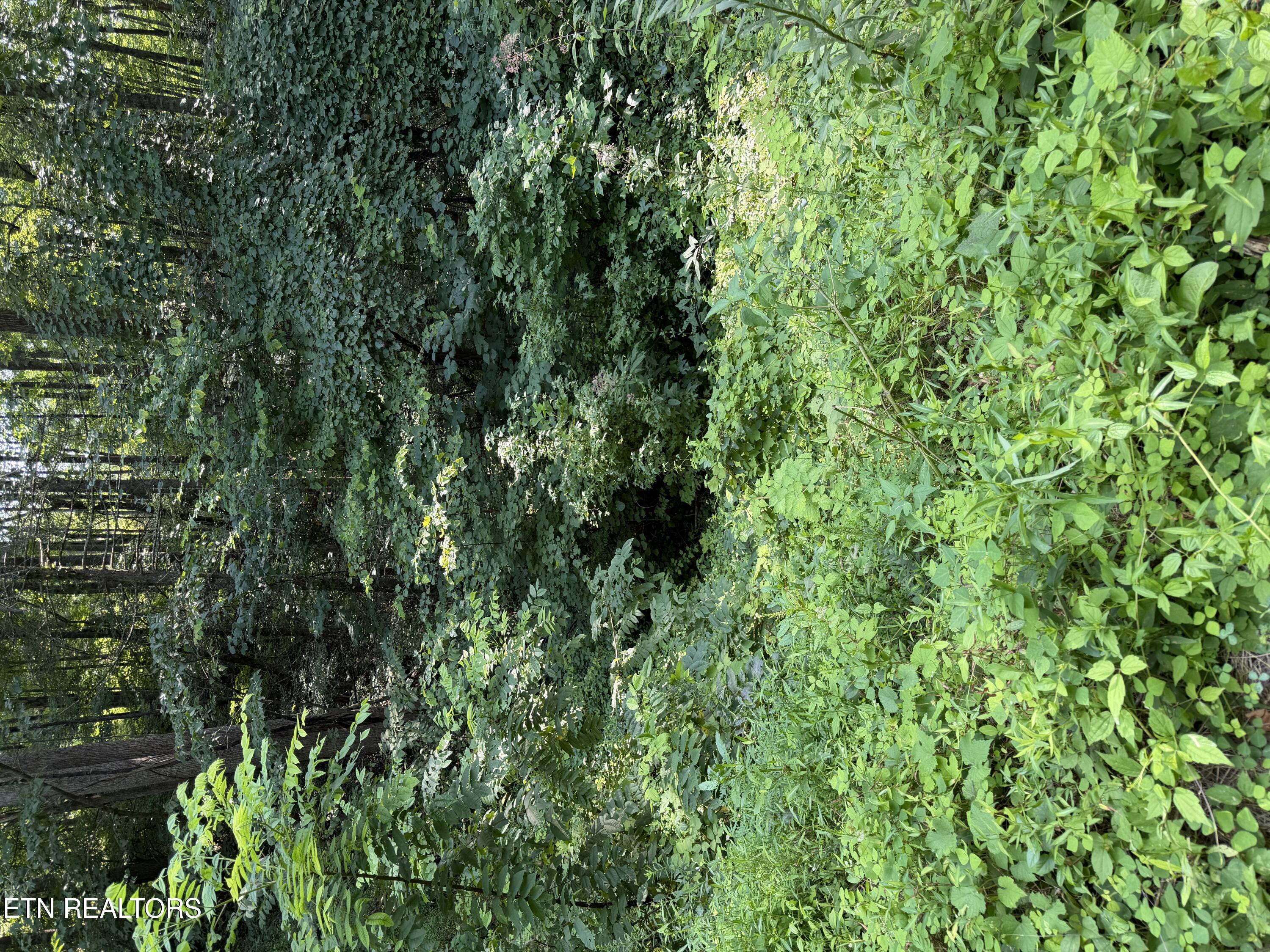 Lot 56 Butternut Lane Sevierville TN 37876