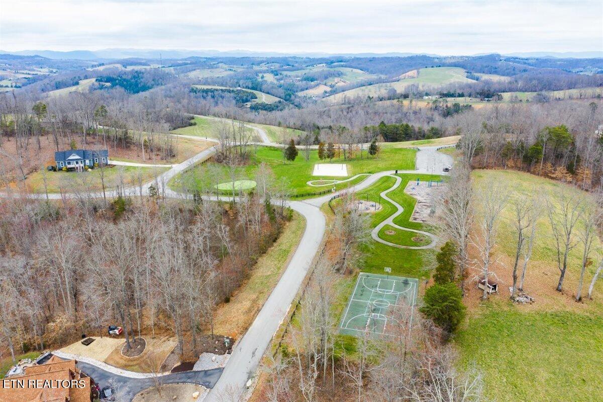 Lot 565 Tortoiseshell Circle New Tazewell TN 37825