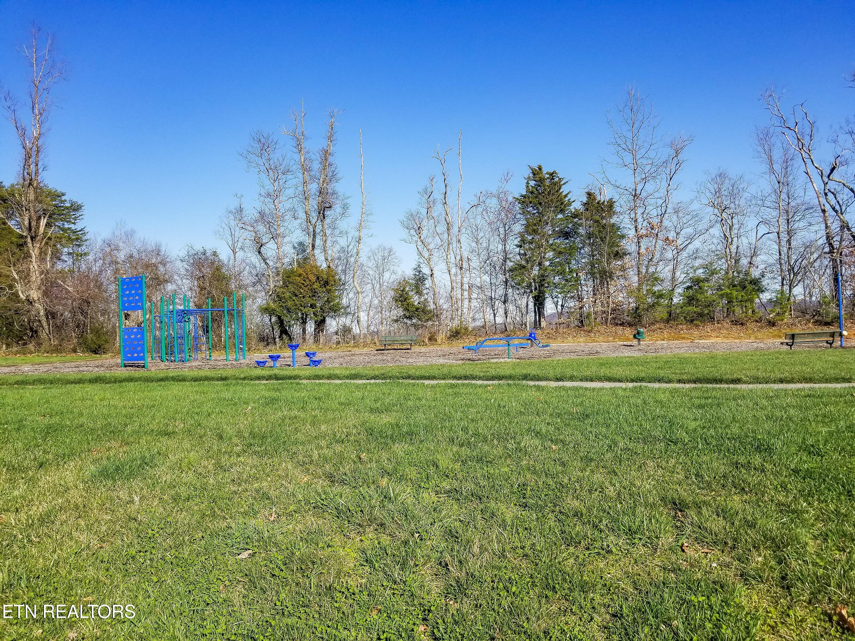 Lot 565 Tortoiseshell Circle New Tazewell TN 37825