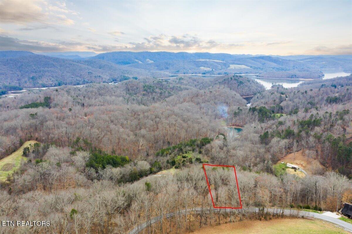 Lot 565 Tortoiseshell Circle New Tazewell TN 37825