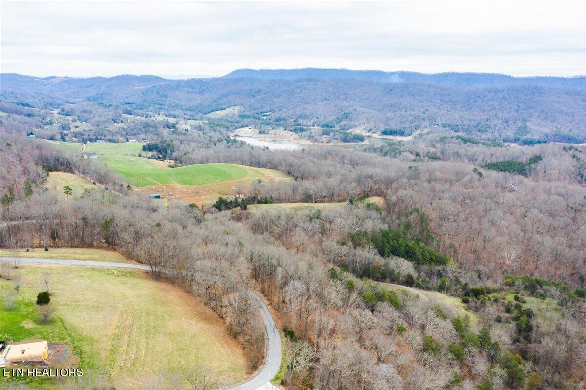 Lot 565 Tortoiseshell Circle New Tazewell TN 37825