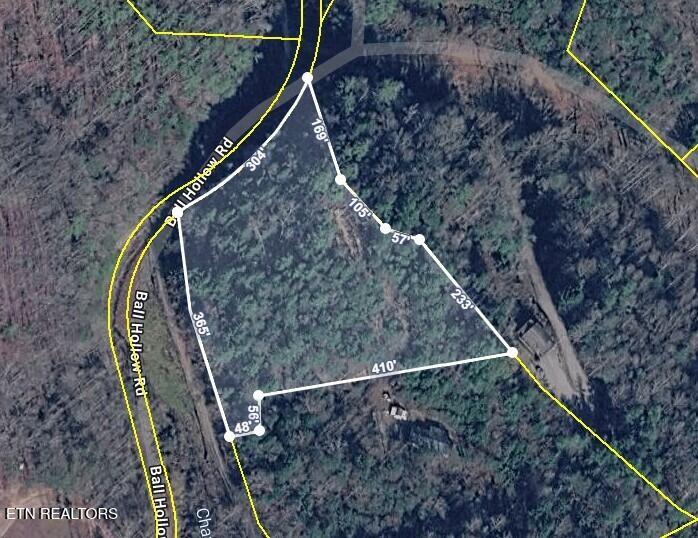 4354 Ball Hollow Road Cosby TN 37722