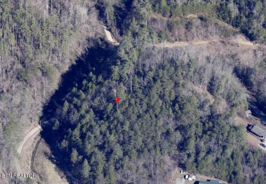 4354 Ball Hollow Road Cosby TN 37722