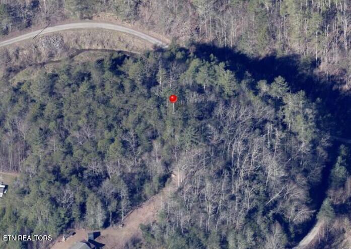 4354 Ball Hollow Road Cosby TN 37722