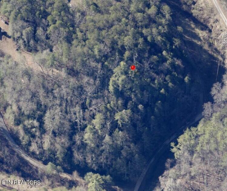 4354 Ball Hollow Road Cosby TN 37722