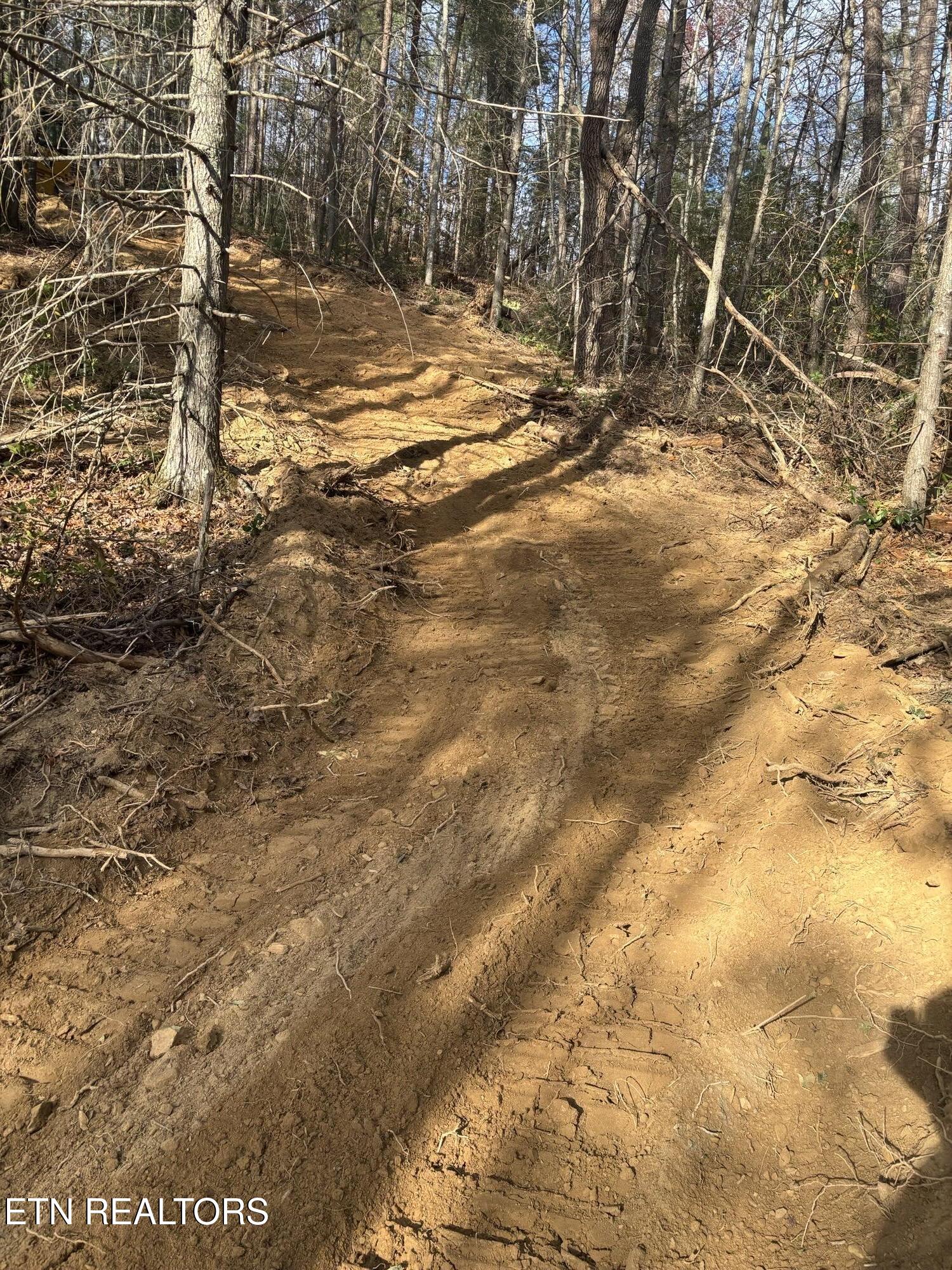 4354 Ball Hollow Road Cosby TN 37722